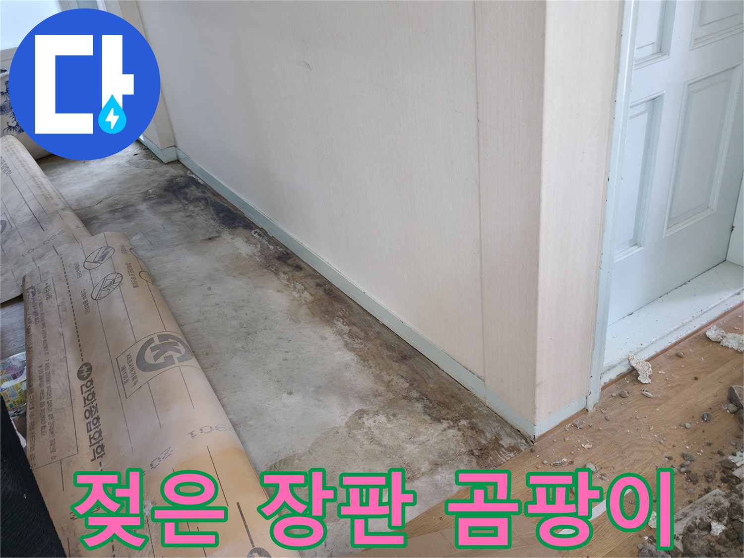 방배동 누수 - 젖은 장판, 곰팡이 번식 직전의 위험한 상황 - 긴급 조치가 필요합니다.