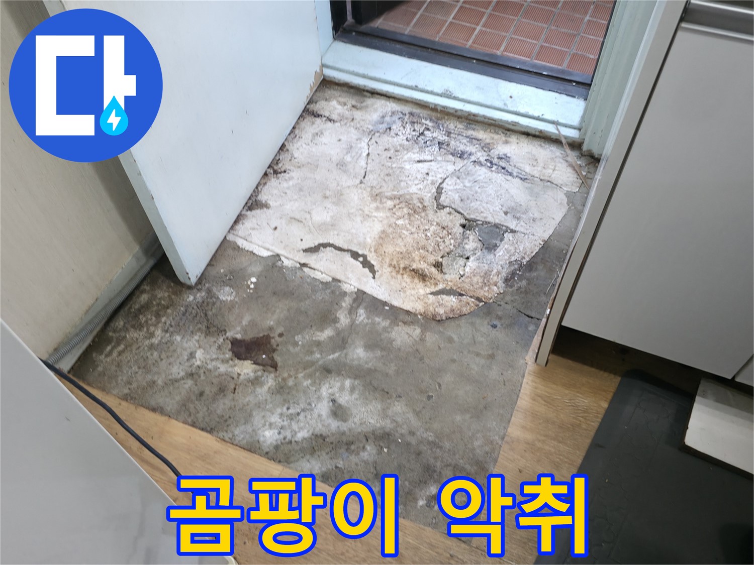 방배동 명달로4길 빌라 누수 - 곰팡이와 악취가 심한 현관 - 서초구 누수 긴급 해결이 필요합니다