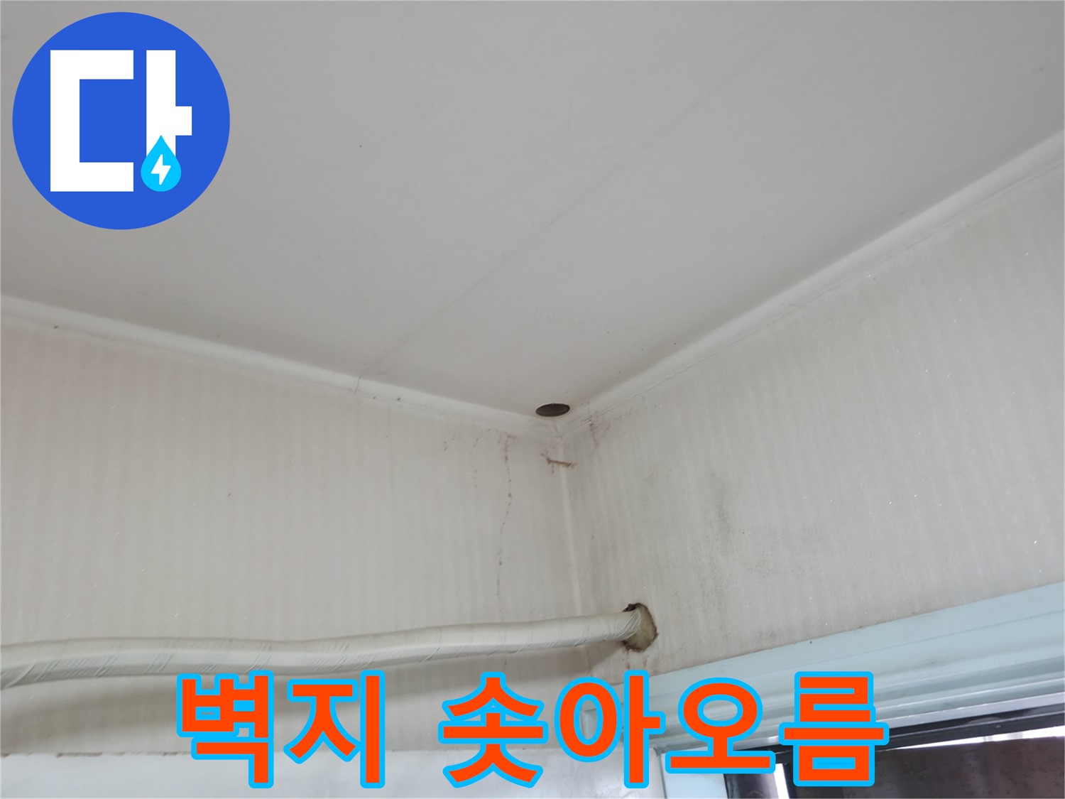 서초구 서초동 누수 - 천장 얼룩과 구멍은 윗집 누수의 흔적일 수 있습니다.