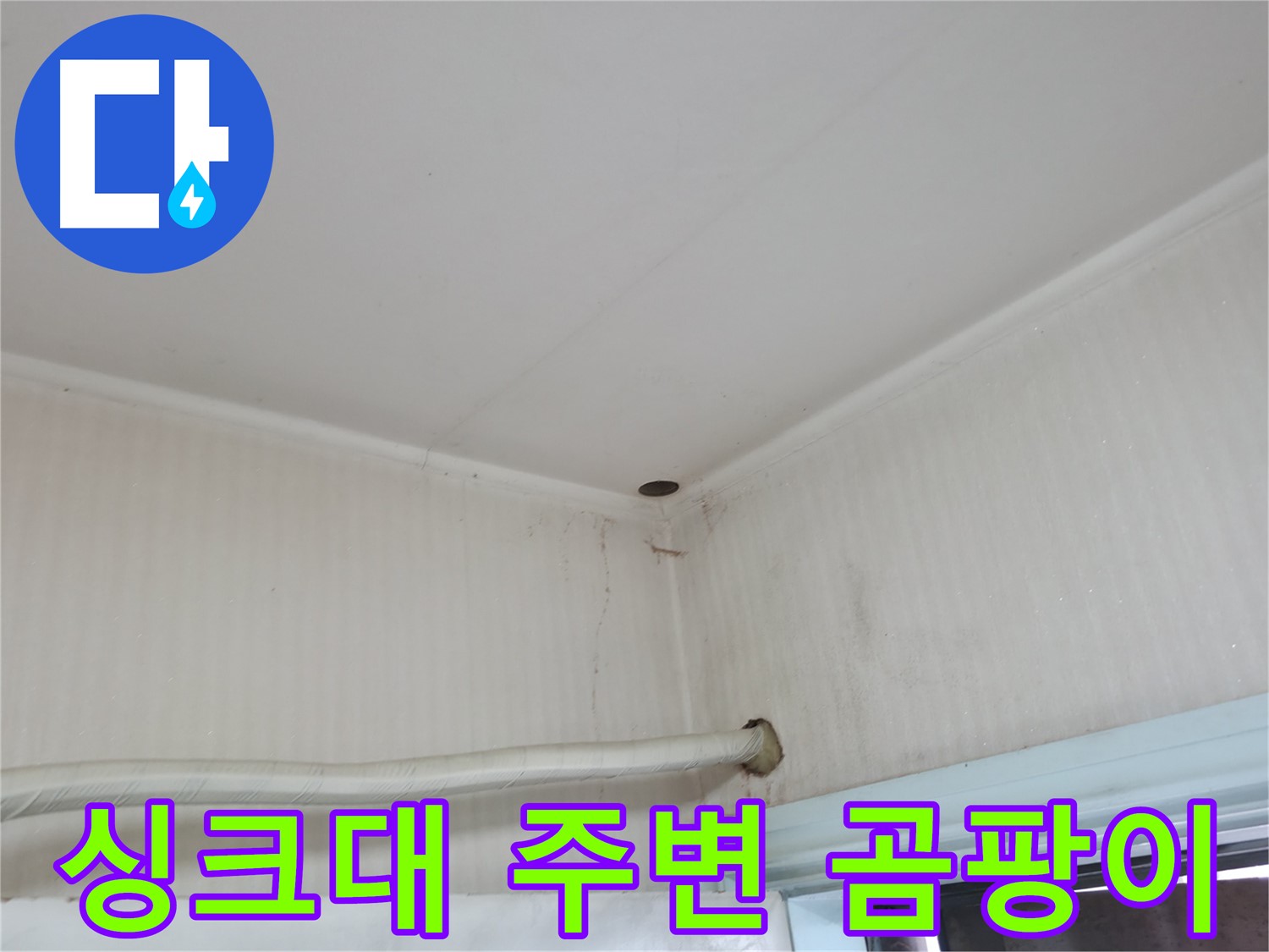서초2동 341-1 싱크대 곰팡이 - 습한 환경 주의!