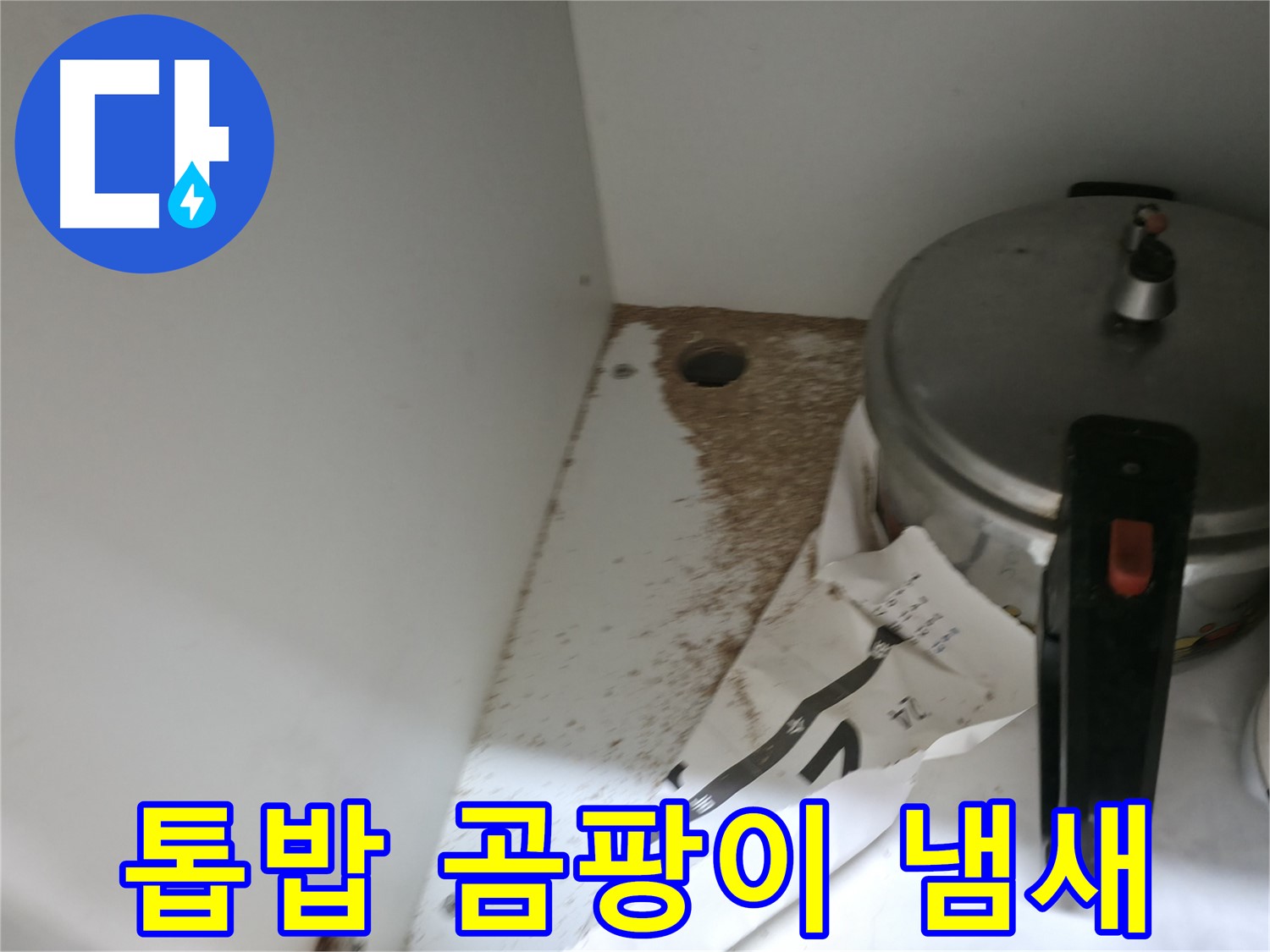 싱크대 하부 - 합판 곰팡이 - 습기 - 빠른 해결