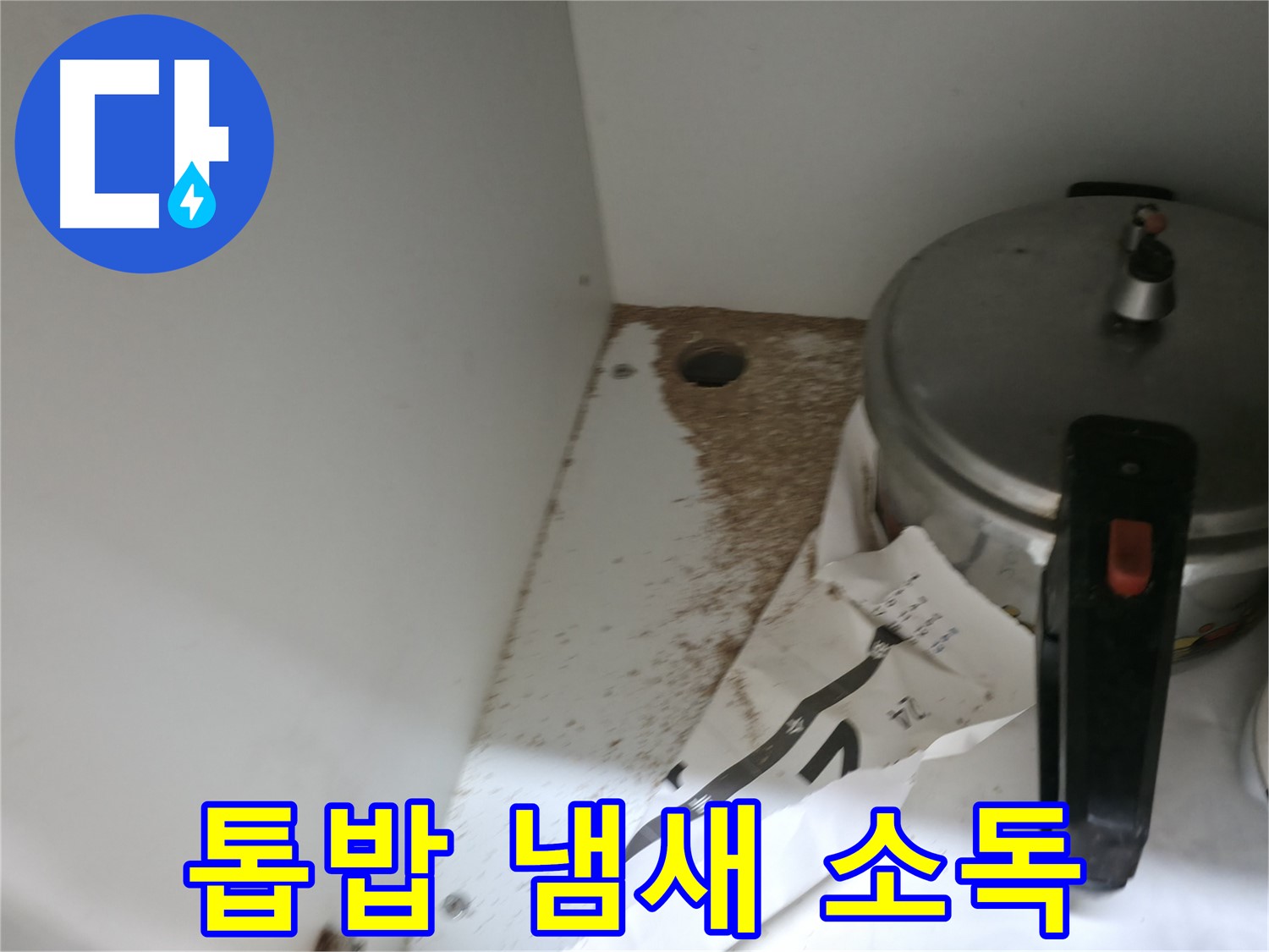 싱크대 밑 - 나무 썩음 - 신속한 해결이 중요합니다.