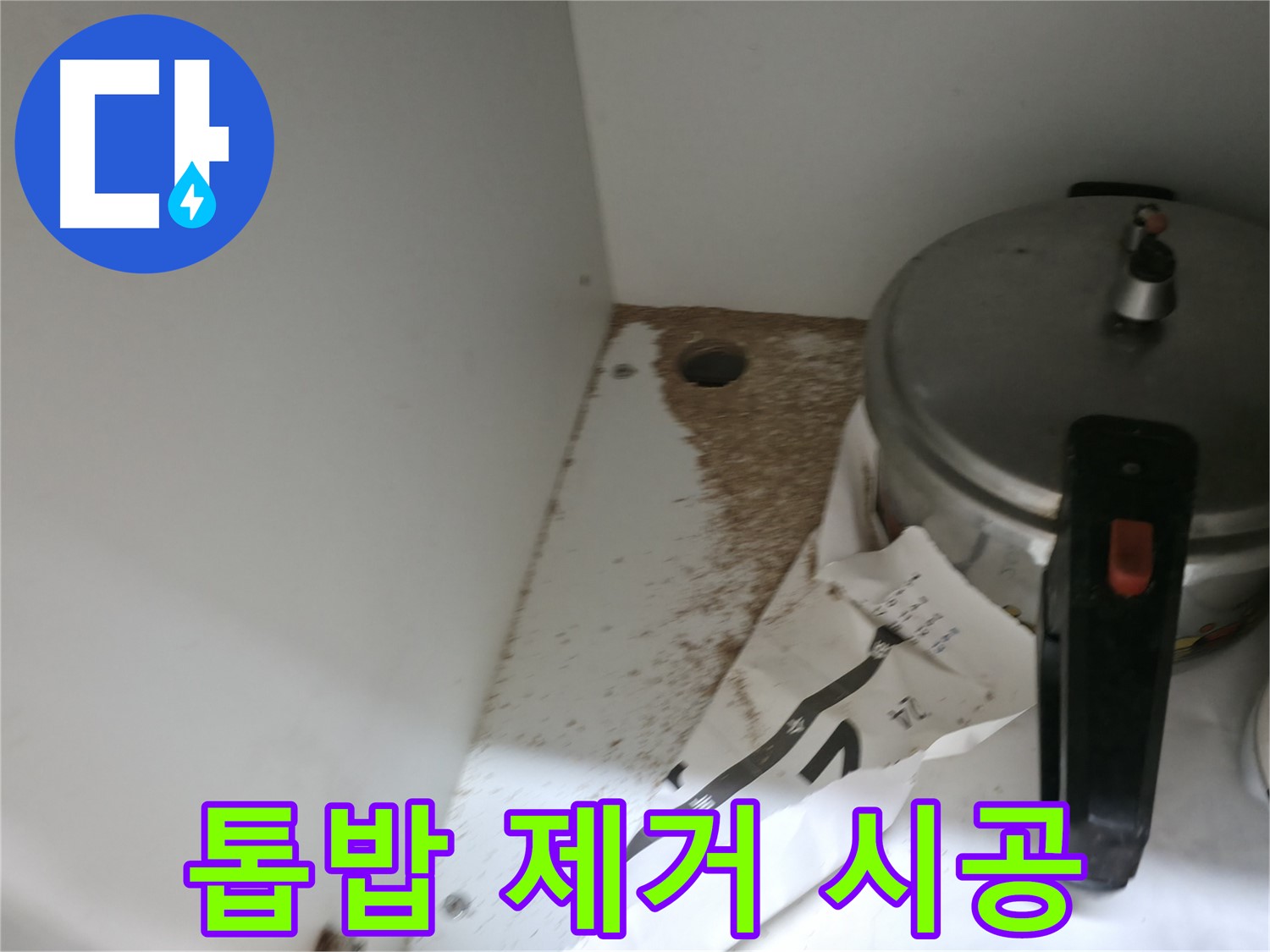 싱크대 밑 - 톱밥 - 건물 노후화 - 정밀 점검 필요