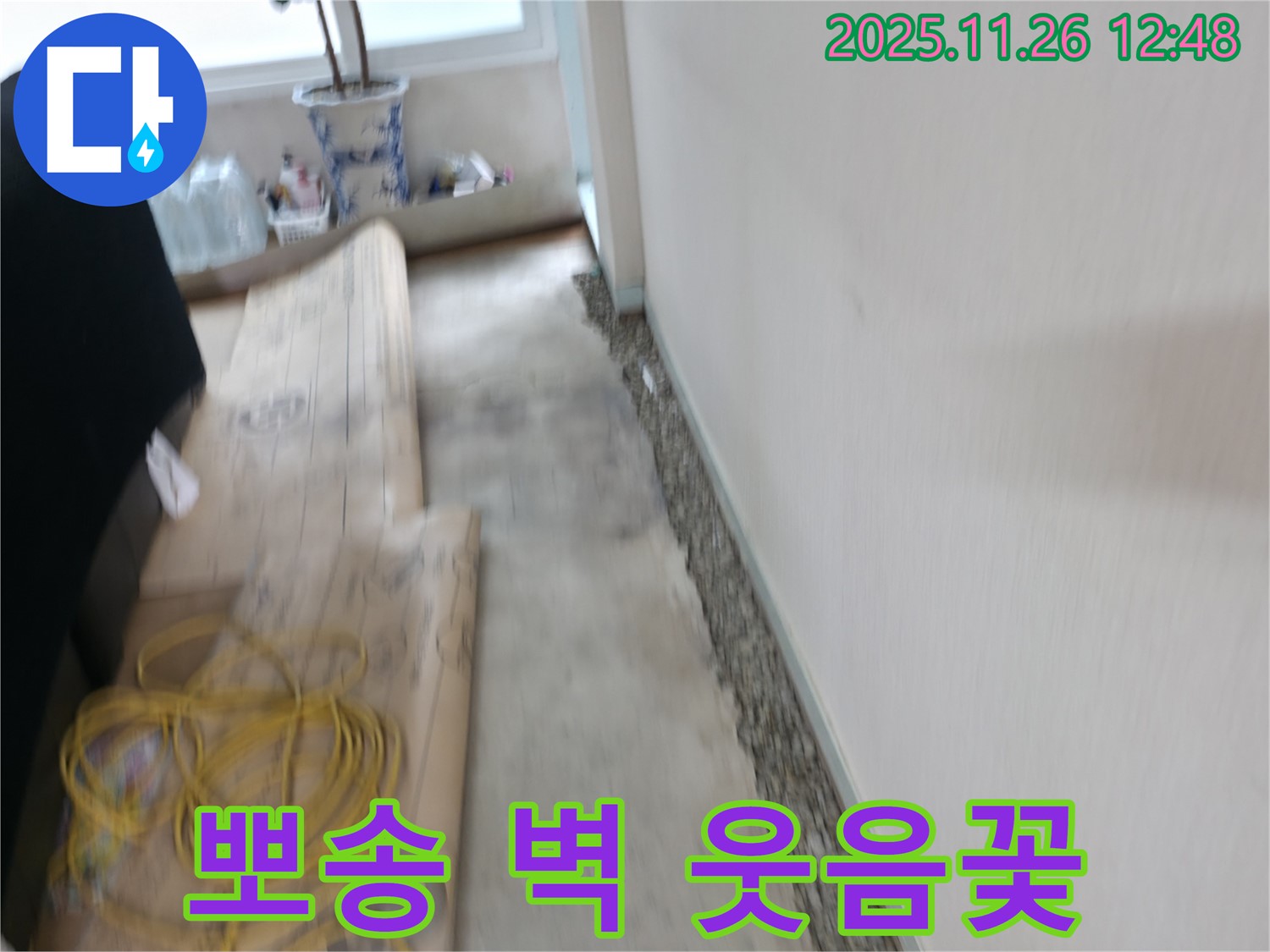 서초2동에서 눅눅한 벽은 이제 그만! 뽀송뽀송한 벽에서 매일 웃음꽃 활짝 피우세요!