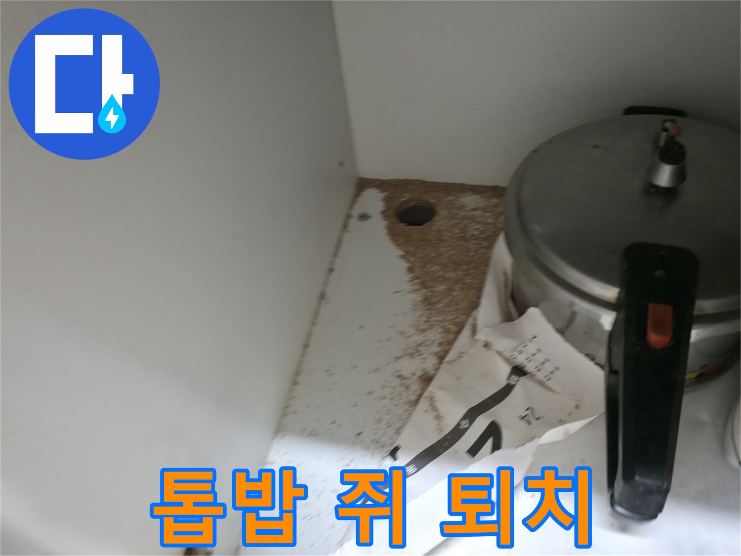 서초구 명달로4길 싱크대 누수 - 톱밥 쥐똥 발견 문제 완벽 퇴치