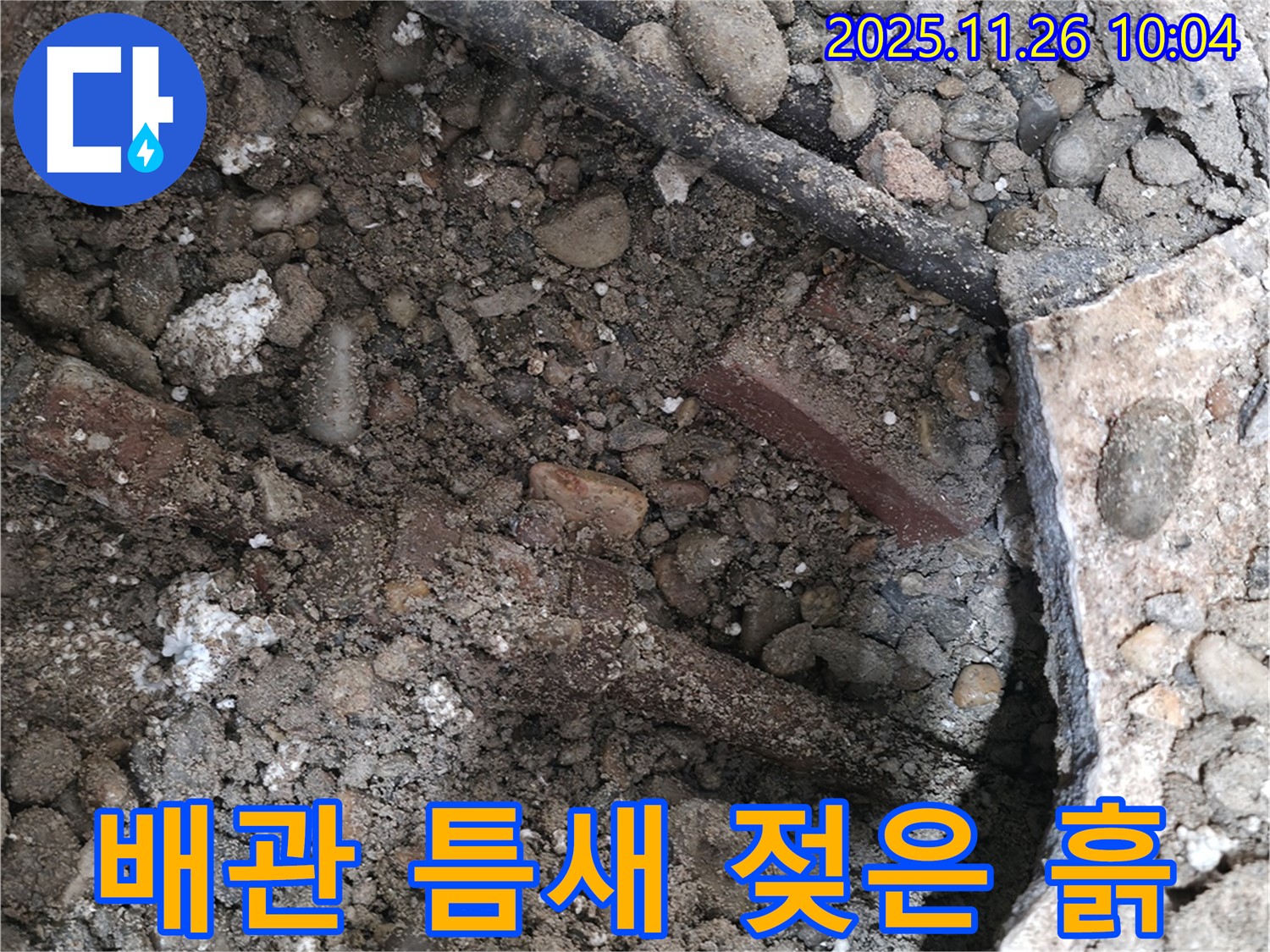 서초구 명달로4길 주택 누수 현장 - 낡은 배관, 콘크리트 틈새, 젖은 흙 - 누수의 3중고를 보여줍니다.