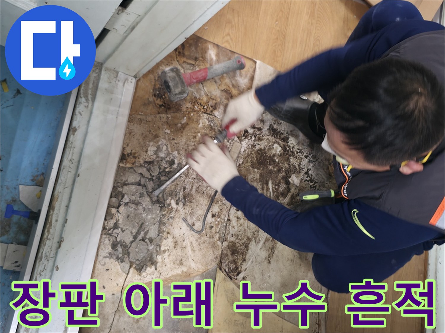 서초구 서초2동 - 낡은 장판 아래 숨겨진 누수의 흔적을 발견하고 꼼꼼히 확인하는 모습입니다 - 숨겨진 누수 흔적 발견!