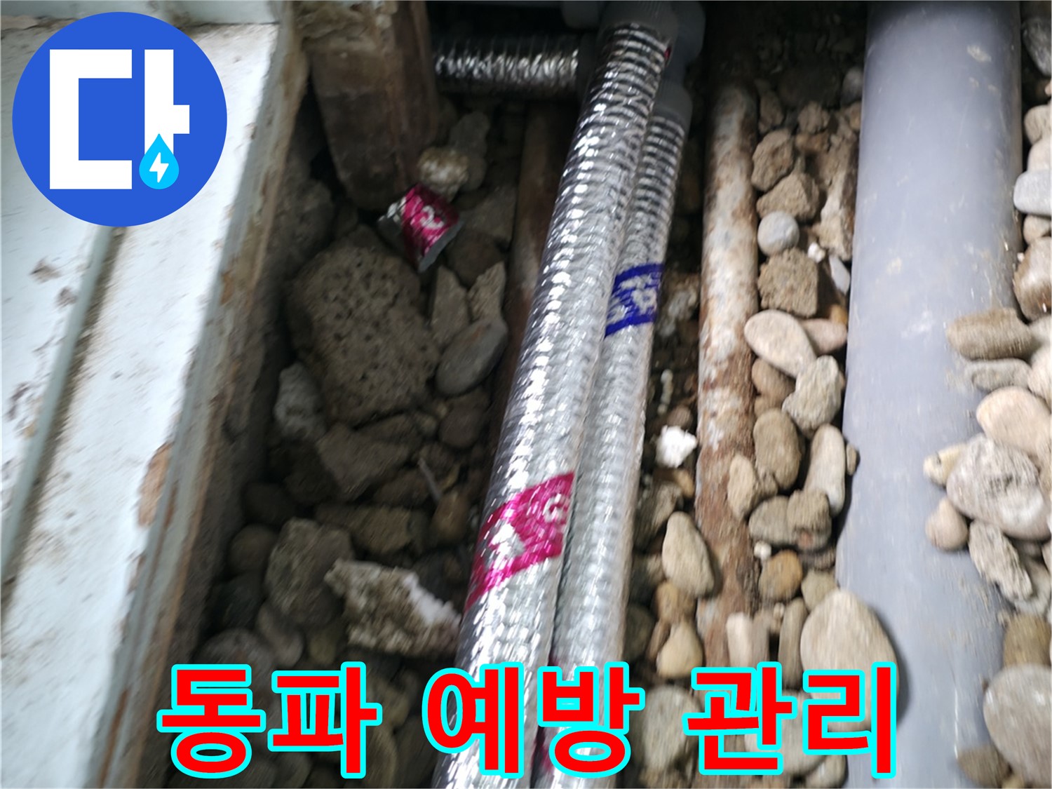 서초구 서초2동 누수 현장 - 겨울철 동파 예방을 위한 꼼꼼한 배관 관리! 미리미리 대비하세요.