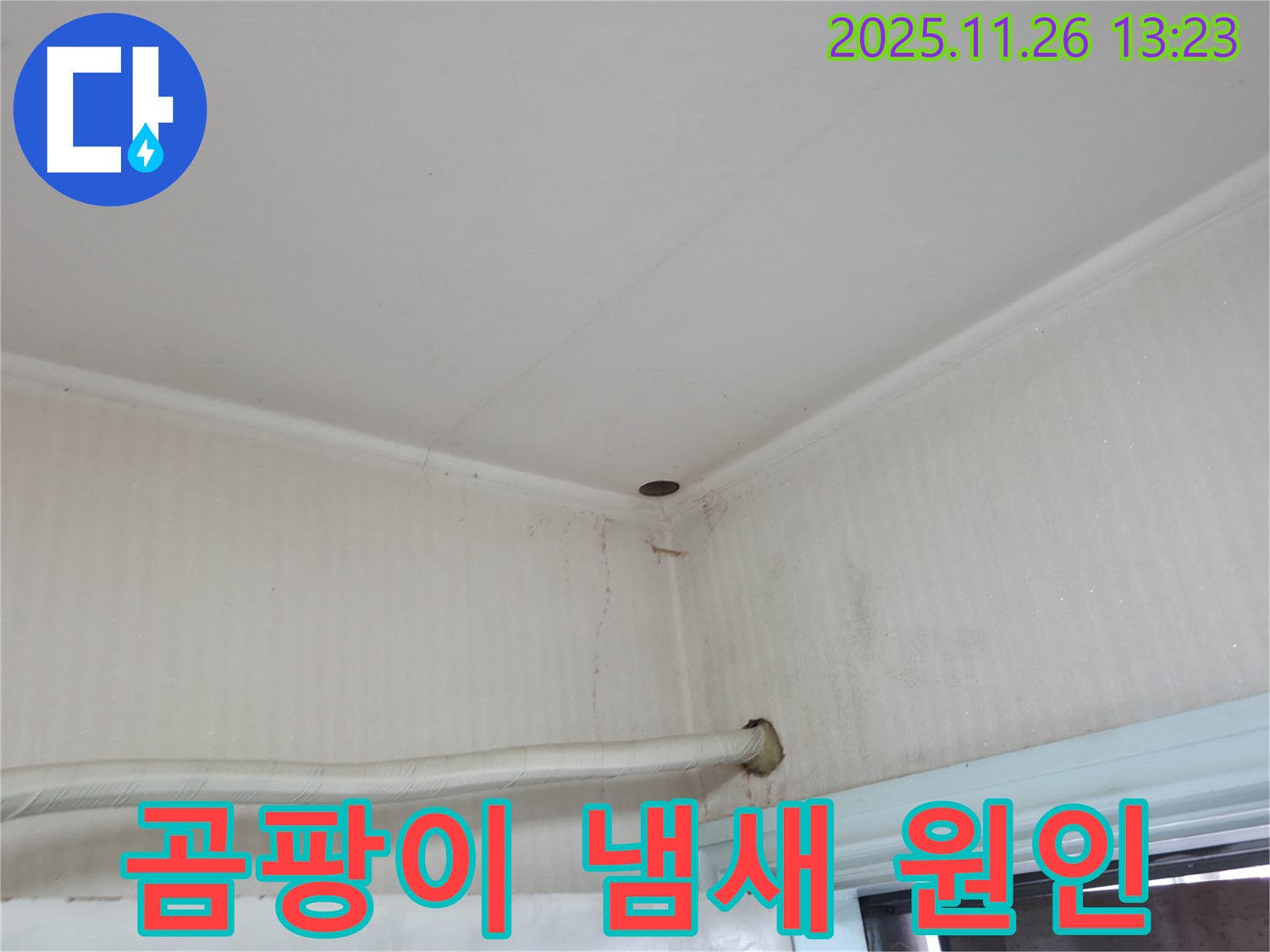 서초구 서초2동 명달로4길 누수 - 곰팡이 냄새의 원인을 찾기 위한 누수 탐지 작업.