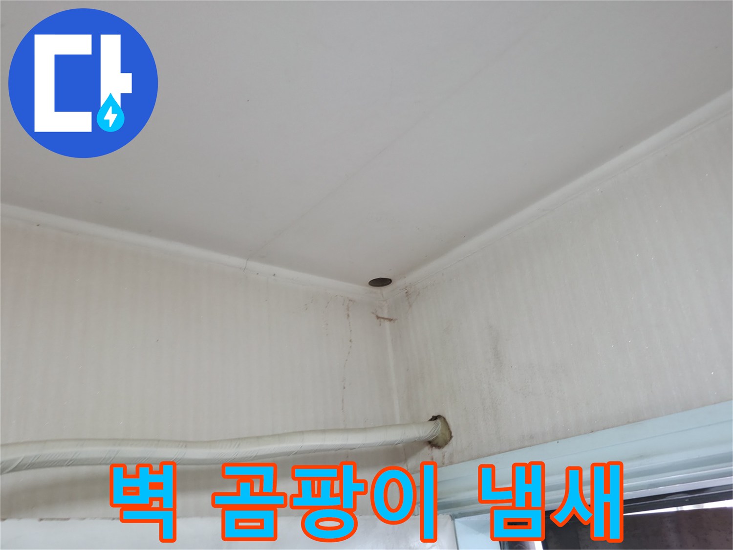서초구 서초동 누수 - 벽에서 곰팡이 냄새가 심하게 난다면 누수를 의심해 보세요.