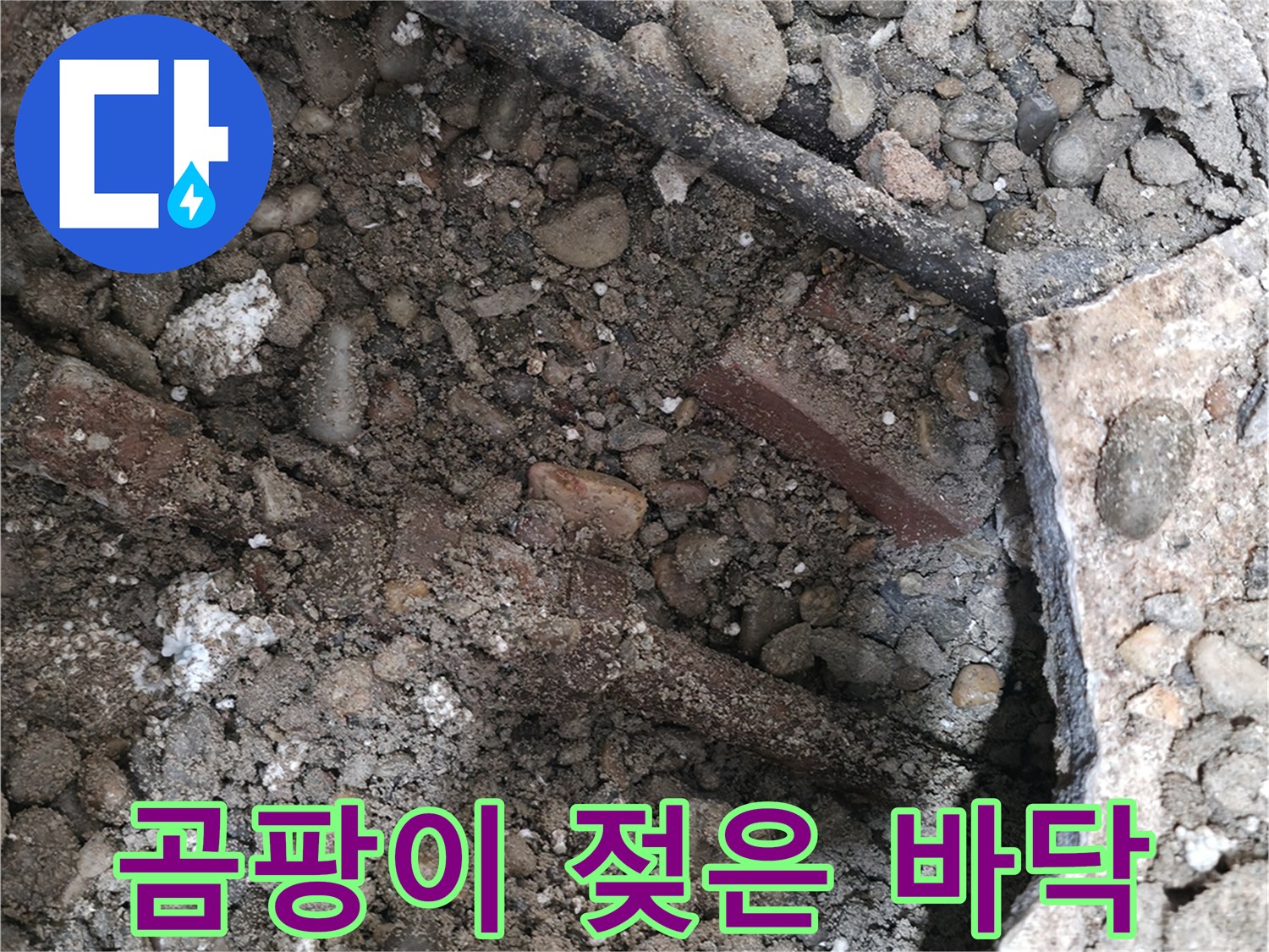 서초동 누수 현장 - 바닥 젖음과 곰팡이가 함께 발생한 모습 - 서초구 누수 원인 해결 전문가가 나섭니다.