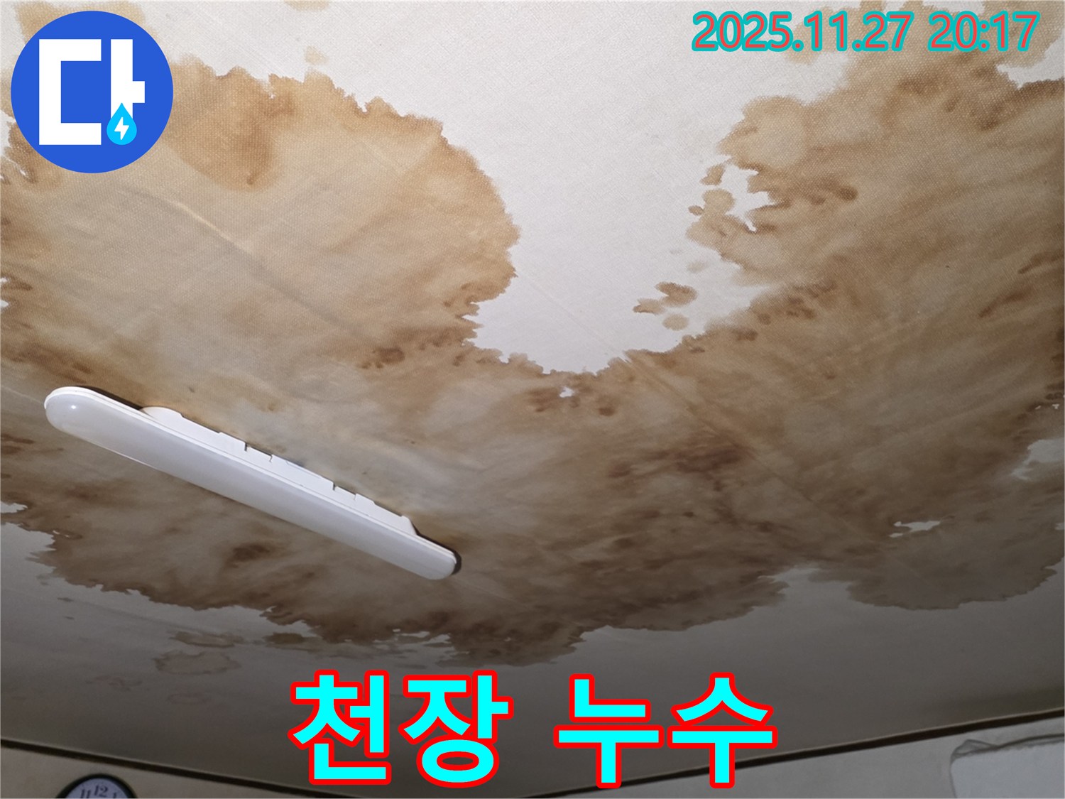 양주시 광적면 형제빌라 천장 누수 - 곰팡이가 핀 천장