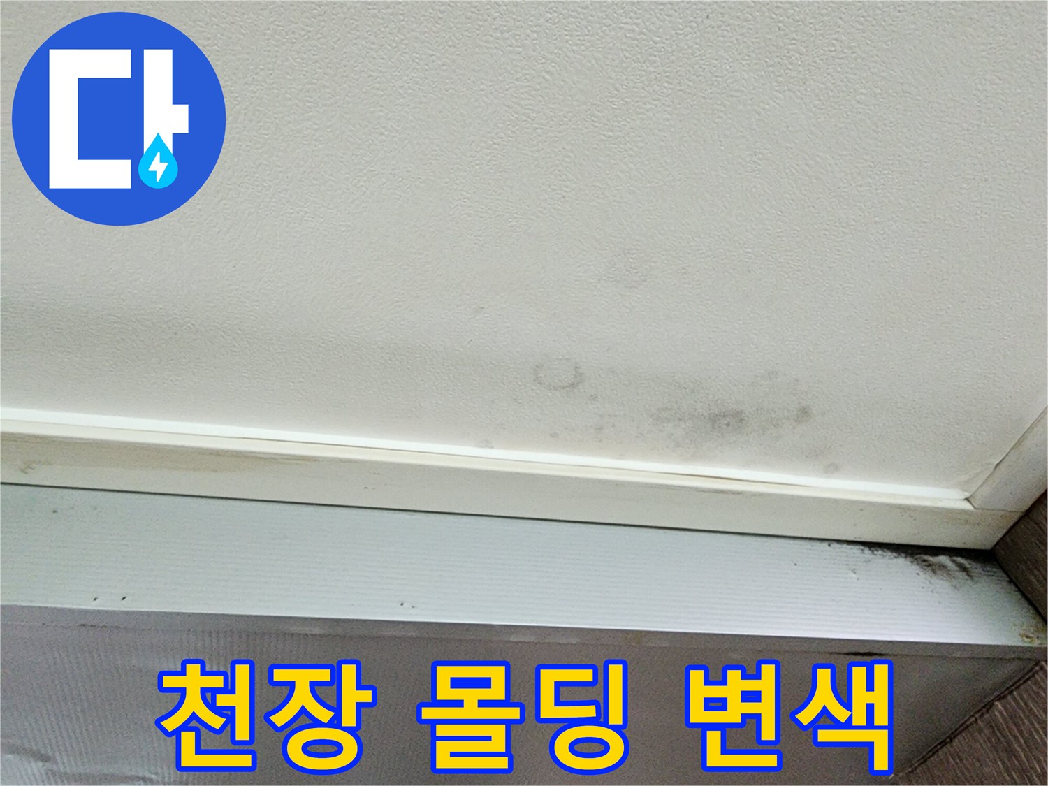 벽지가 젖어 어둡게 변한 천장 몰딩 경계 부위
