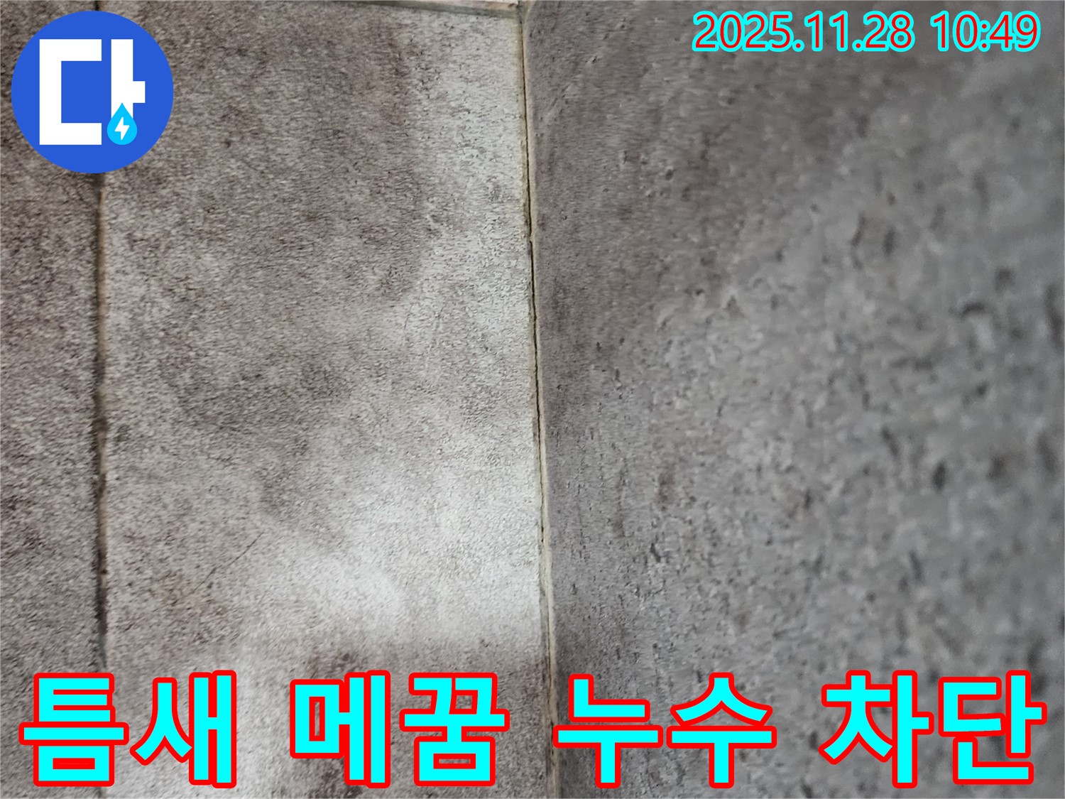 신북면 욕실 곰팡이 누수 - 틈새 메꿈 전문가의 꼼꼼한 시공으로 곰팡이와 누수 완벽 차단!