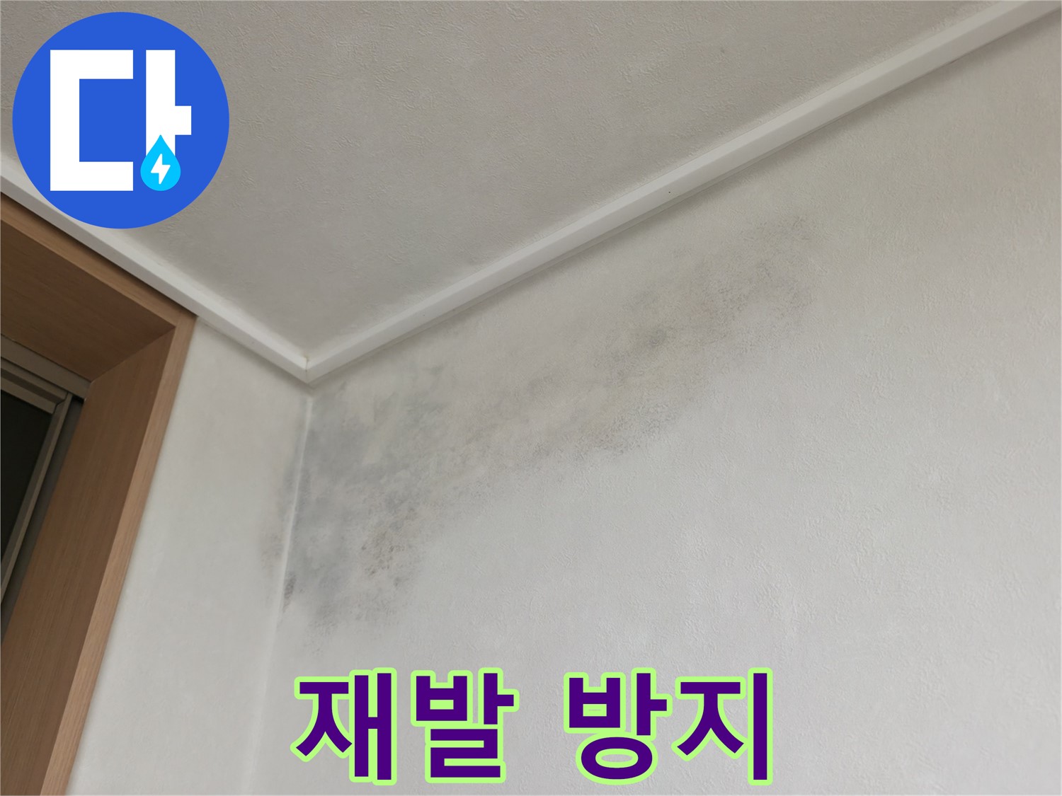 기흥역 더퍼스트푸르지오 누수 - 곰팡이 재발 방지 솔루션 제공