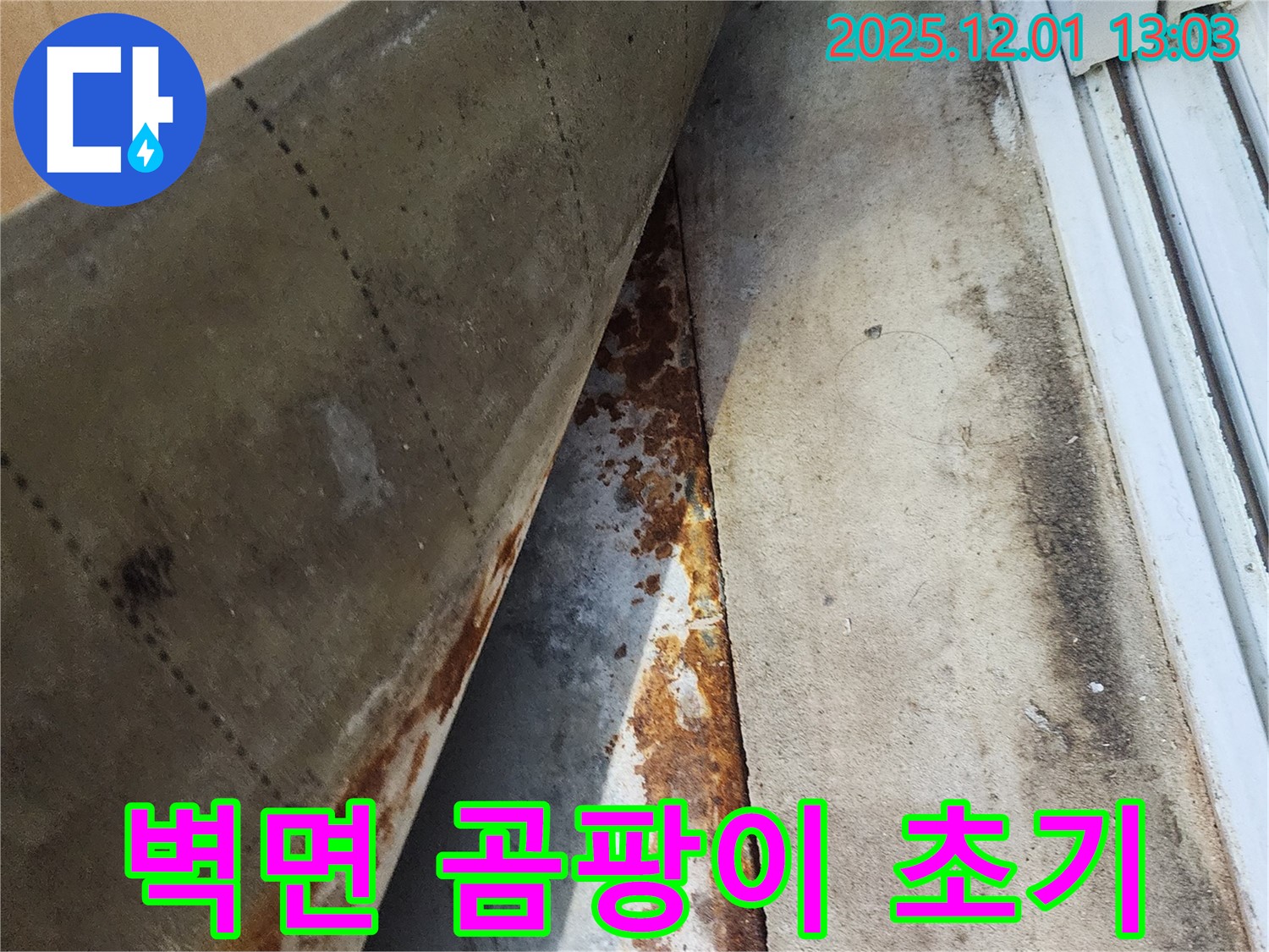 수원 연무동 삼성아파트 벽면 누수 - 곰팡이 발생 초기 단계