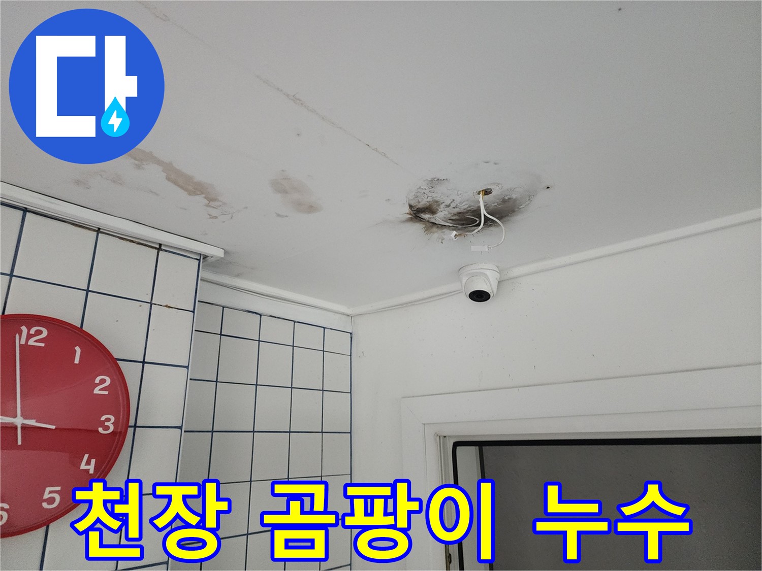 자양2동 주택 천장 - 곰팡이와 CCTV 주변 누수 흔적 - 건강을 위협하는 누수, 신속하게 해결합니다.