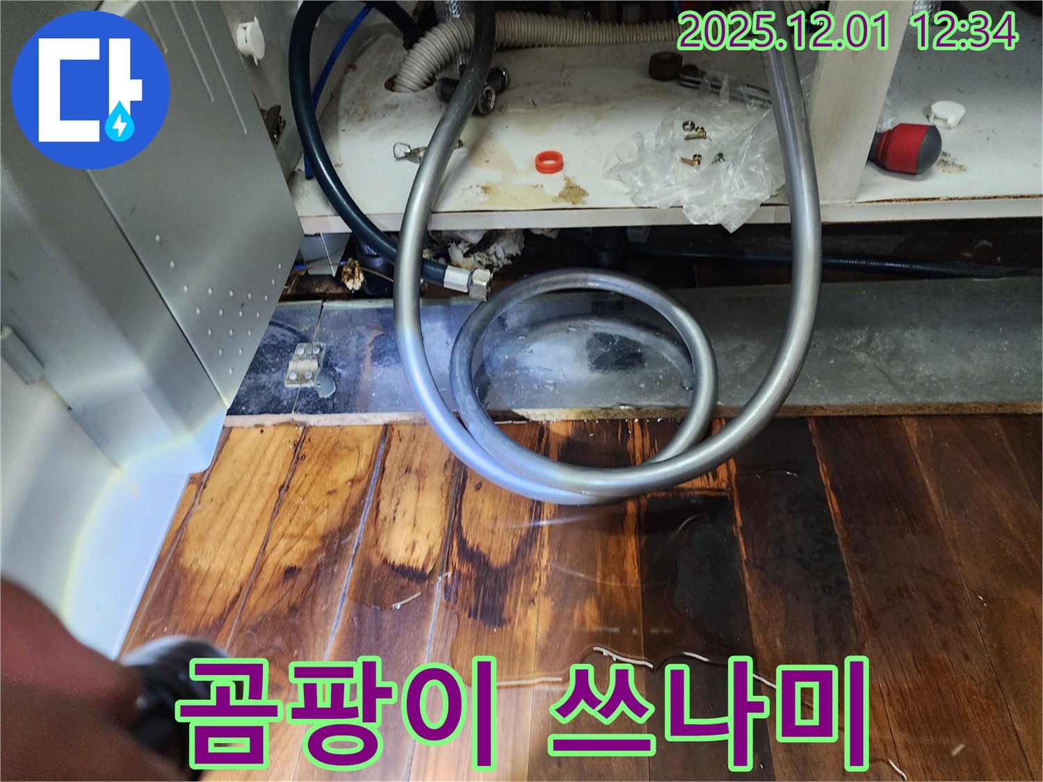 이동면 도평리 누수 - 싱크대 밑 물 흥건, 마루 썩음과 곰팡이 쓰나미 몰려옴