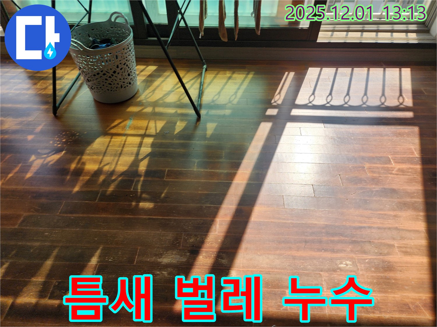 포천시 이동면 누수탐지 - 마루 틈새에서 벌레가 나온다면 누수와 습기 때문일 수 있습니다!