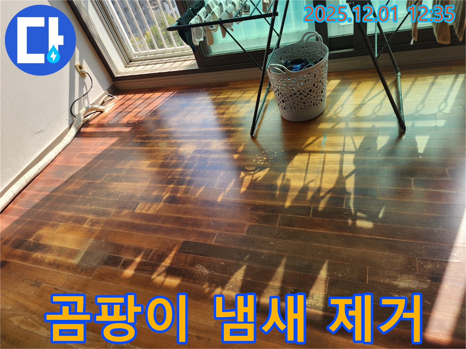 포천시 이동면 도평리 주택 - 누수로 인한 마루 곰팡이 냄새, 누수탐지 전문가가 쾌적하게 만들어 드립니다.