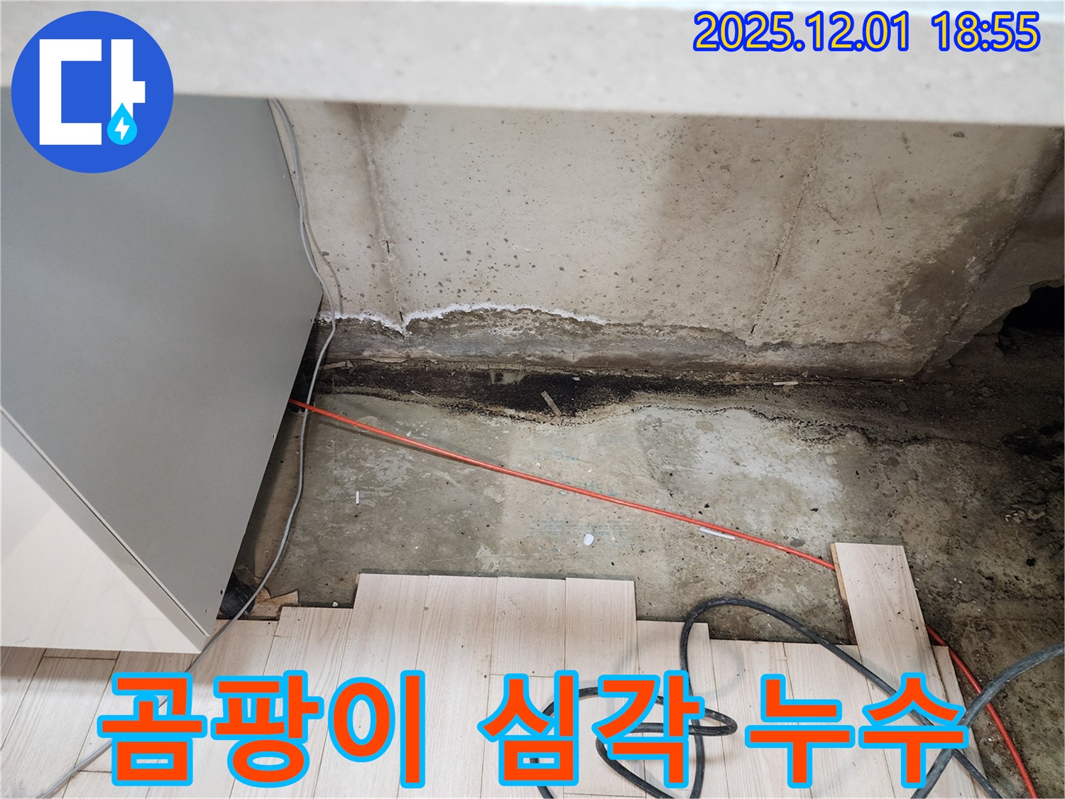 연곡리 싱크대 하부 누수 - 곰팡이 심각, 포천 누수 전문가 긴급 방문