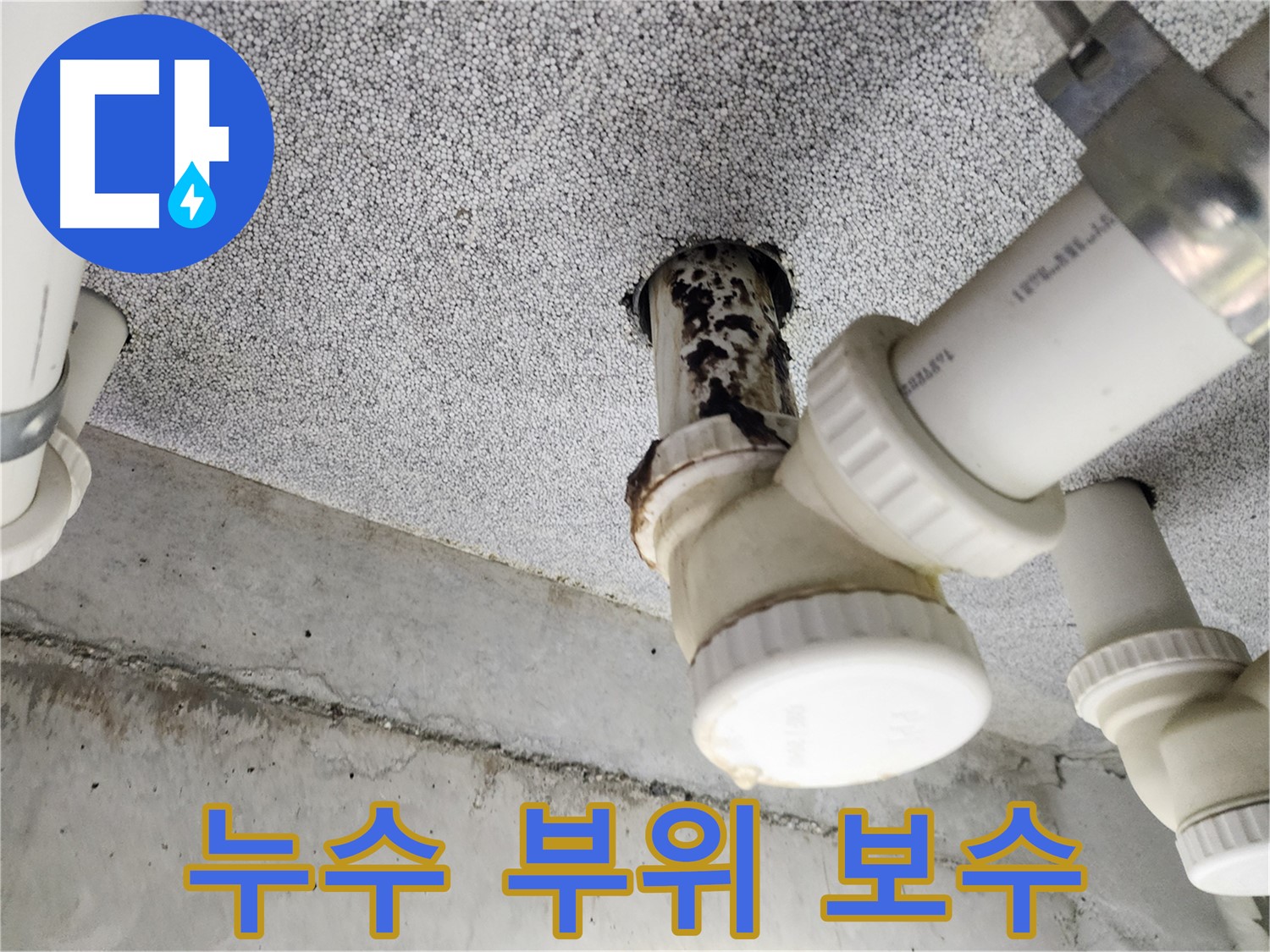 누수 부위 꼼꼼한 보수 - 재발 방지를 위한 완벽 시공