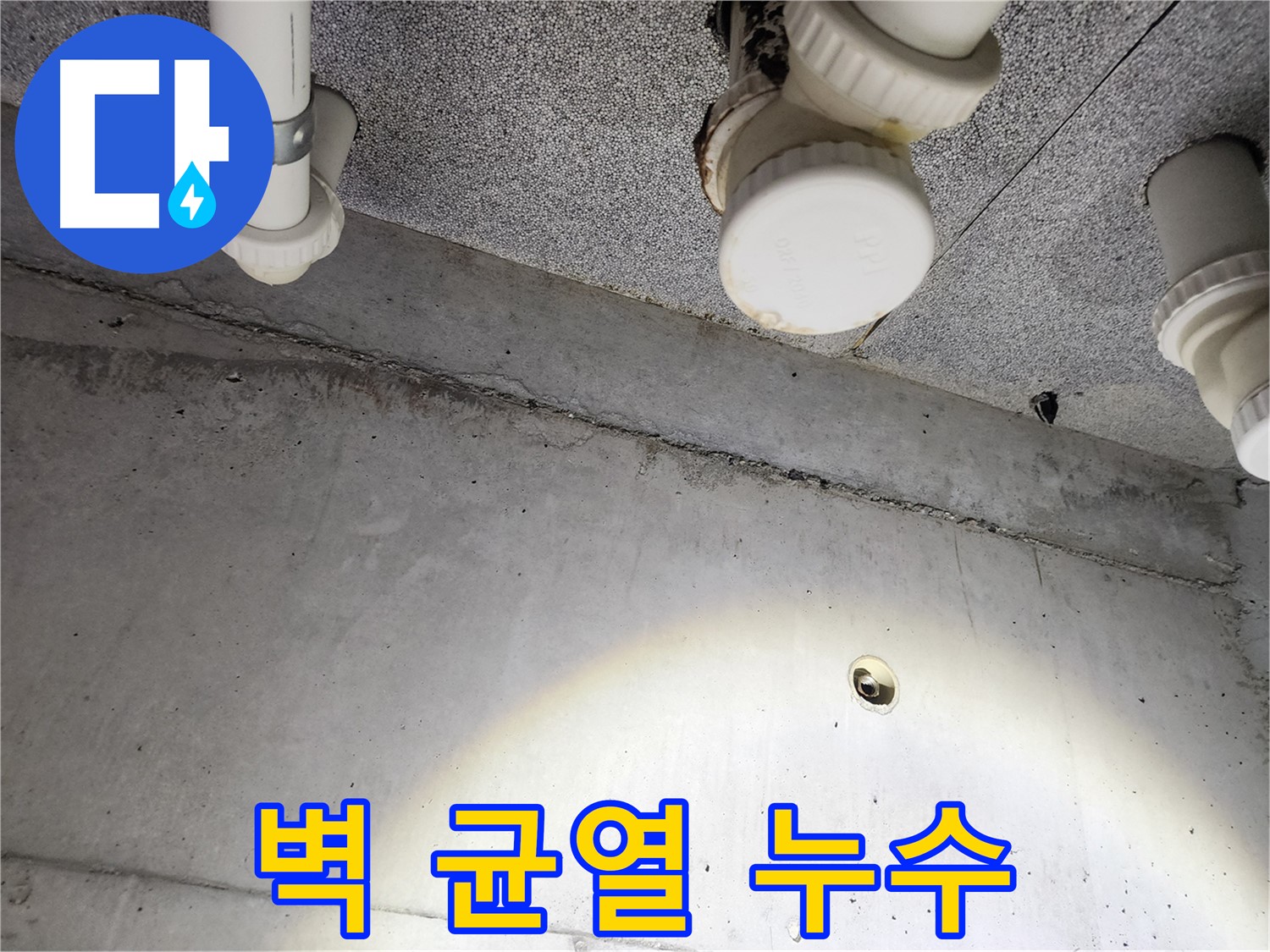 천장 누수 부위를 꼼꼼하게 점검하는 모습 - 누수 원인 파악을 위한 필수 과정입니다.