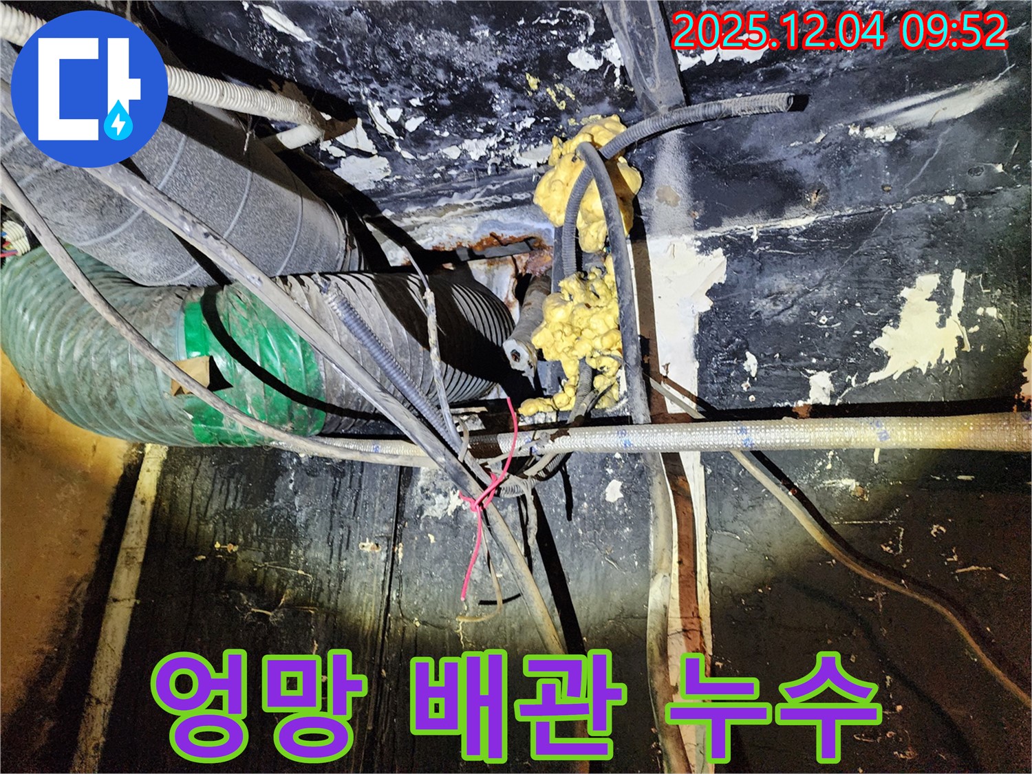 성동구 마장동 누수 현장 - 복잡하게 얽힌 배관 속에서 누수 지점을 찾아 해결하는 모습입니다.