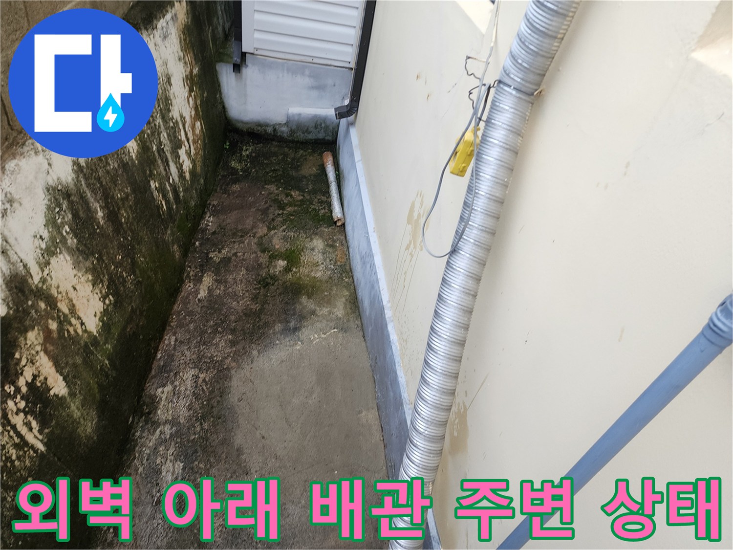 건물 외벽 하단 - 이끼와 습기로 오염된 지면 및 배관 연결 부위