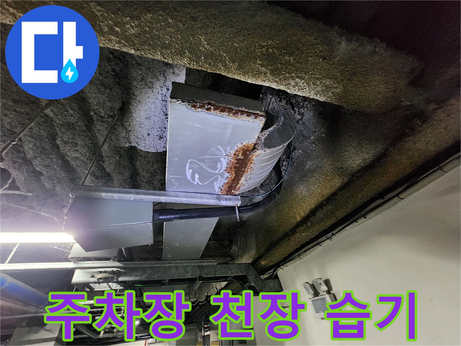 지하 주차장 천장 슬래브의 백화 현상과 배관 주변 습기 상태