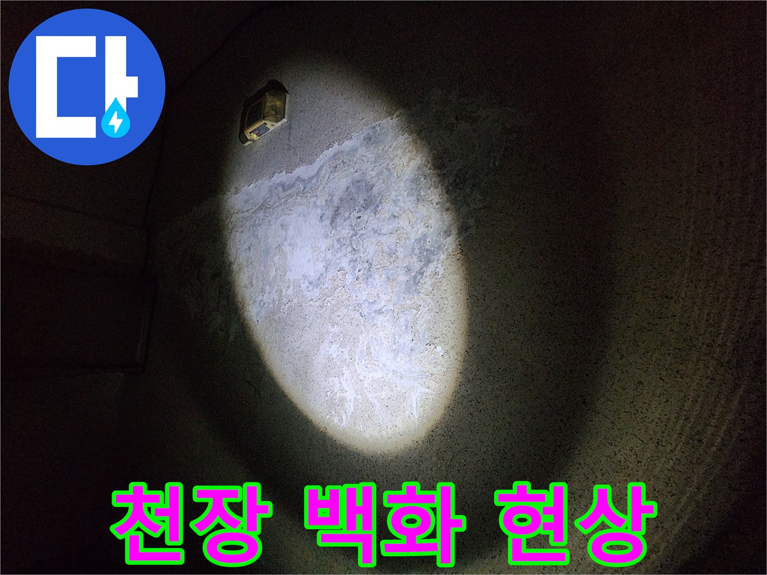 지하 주차장 천장 콘크리트 벽면의 하얀 백화 현상 상태