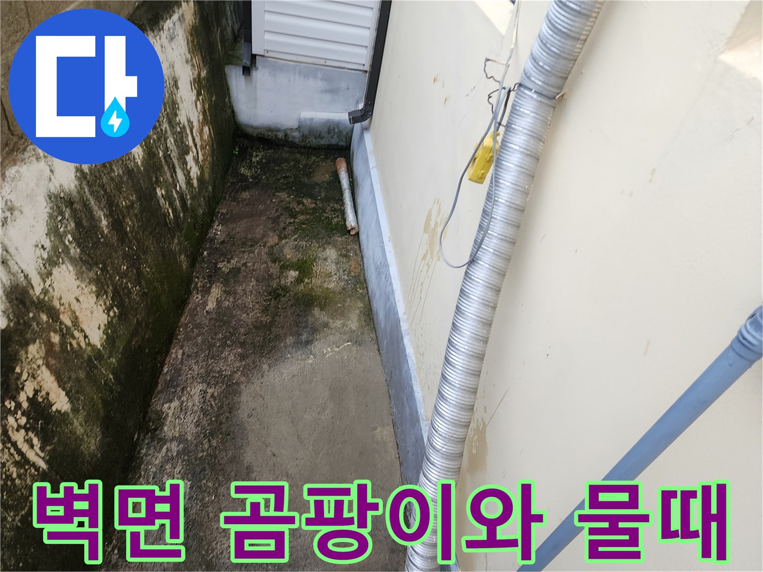 축축하게 젖은 벽면 - 배관 근처의 심한 오염 상태를 기록한 사진