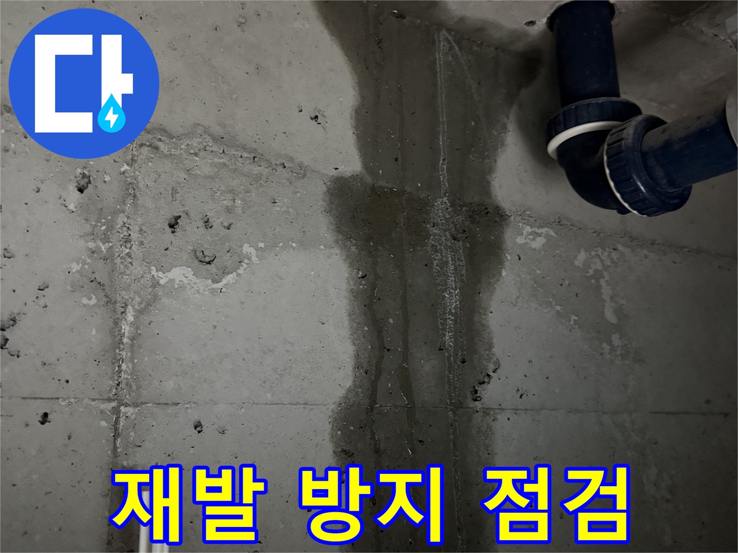 동두천 지행동 누수 - 하수구 주변을 꼼꼼하게 점검하는 모습입니다 - 작은 틈도 놓치지 않습니다.