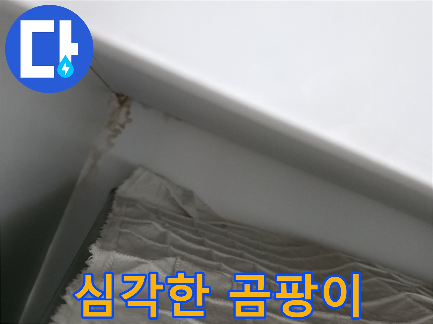 마포구 중동 건영 월드컵 아파트 심각한 곰팡이 - 누수 원인 해결 후 곰팡이 제거