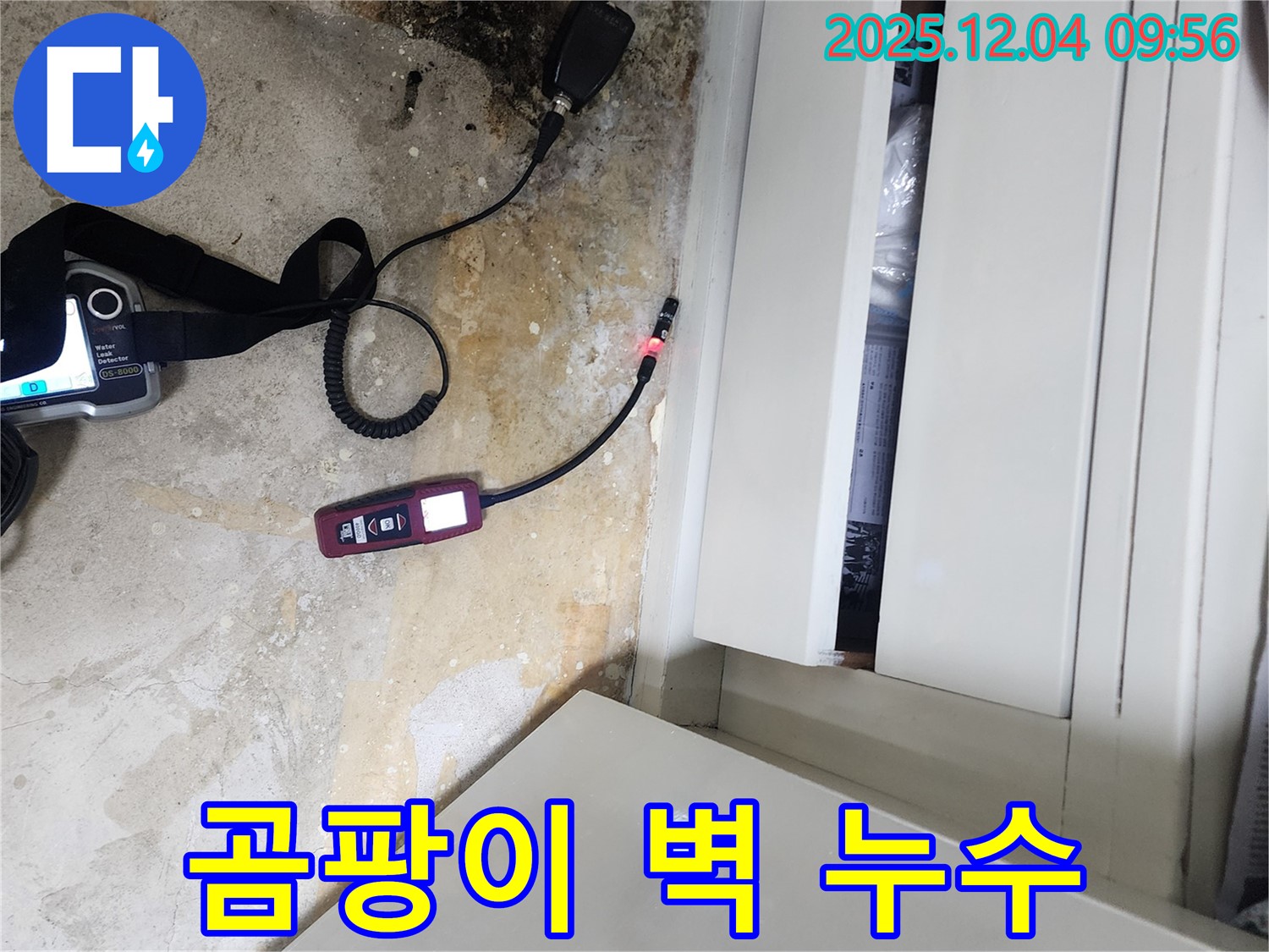 곰팡이 핀 벽 - 누수 원인 해결이 우선, 곰팡이 제거 시공