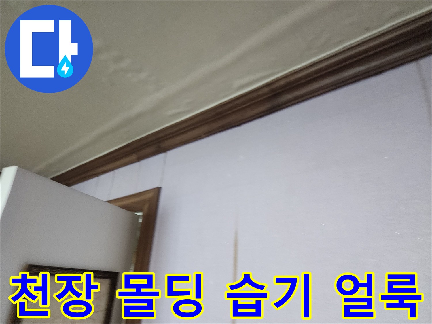 천장과 벽면의 접합부 근처에 나타난 젖은 얼룩 상태