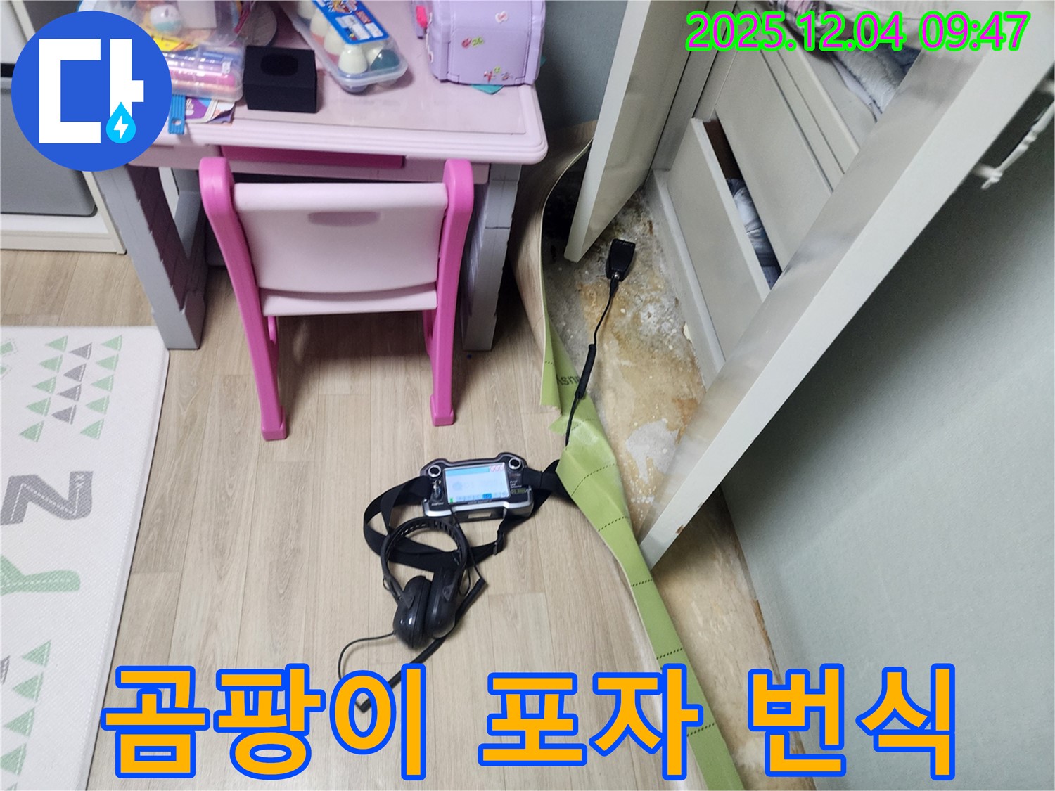 포천 일동면 누수 - 장판 밑 습기, 곰팡이 포자 번식?! 완벽 차단으로 곰팡이 걱정 끝!