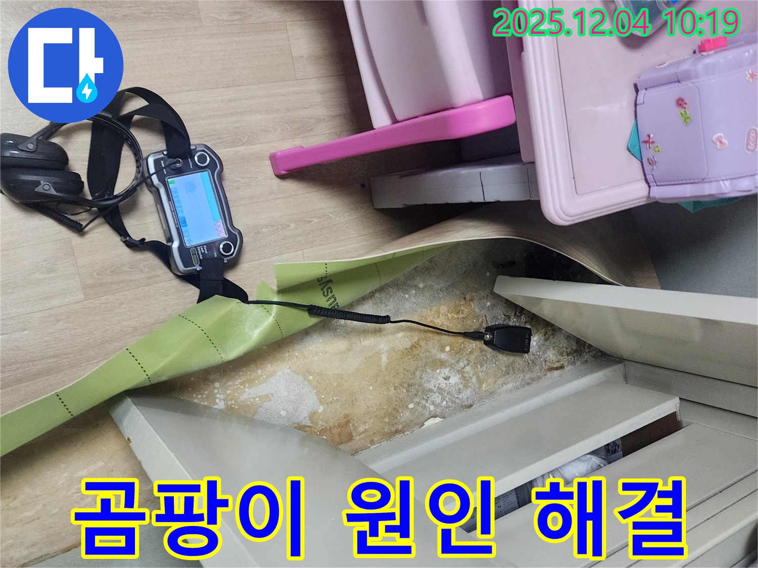 포천시 일동면 유동리 누수 - 옷장 밑 곰팡이, 원인부터 해결까지 책임집니다