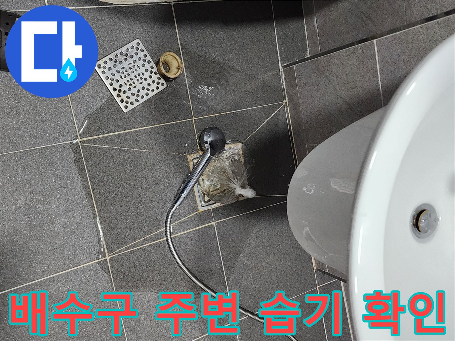 화장실 배수구 근처 타일 틈새로 물이 배어 나온 현장 모습