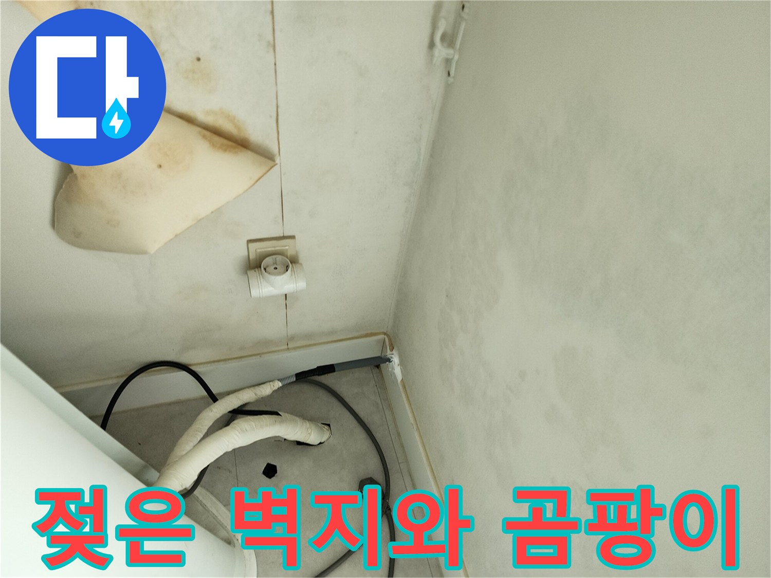 세탁실-벽면의-심각한-물샘-및-곰팡이-발생