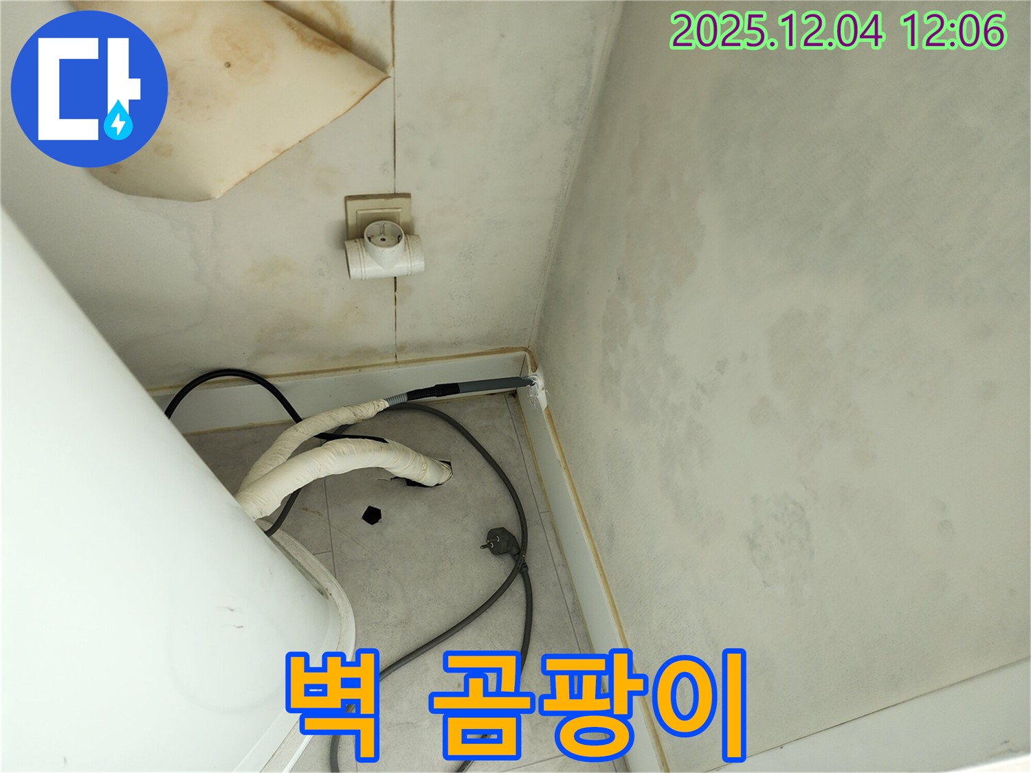 포천 일동면 기산리 주택 벽 곰팡이 - 누수로 인한 곰팡이 발생과 해결