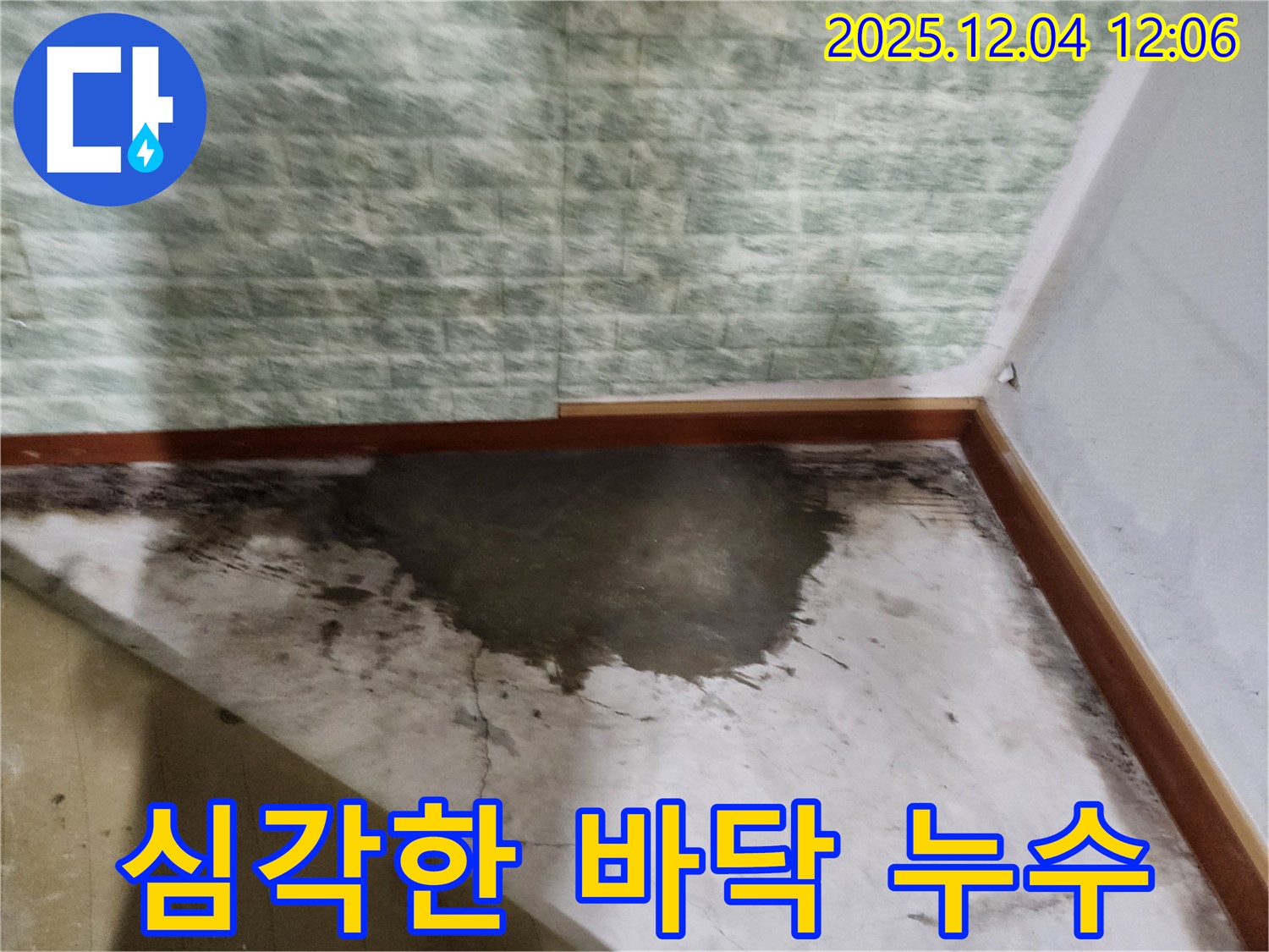 포천시 일동면 기산리 주택의 심각한 바닥 누수 상황 - 전문적인 누수탐지 및 공사 필요