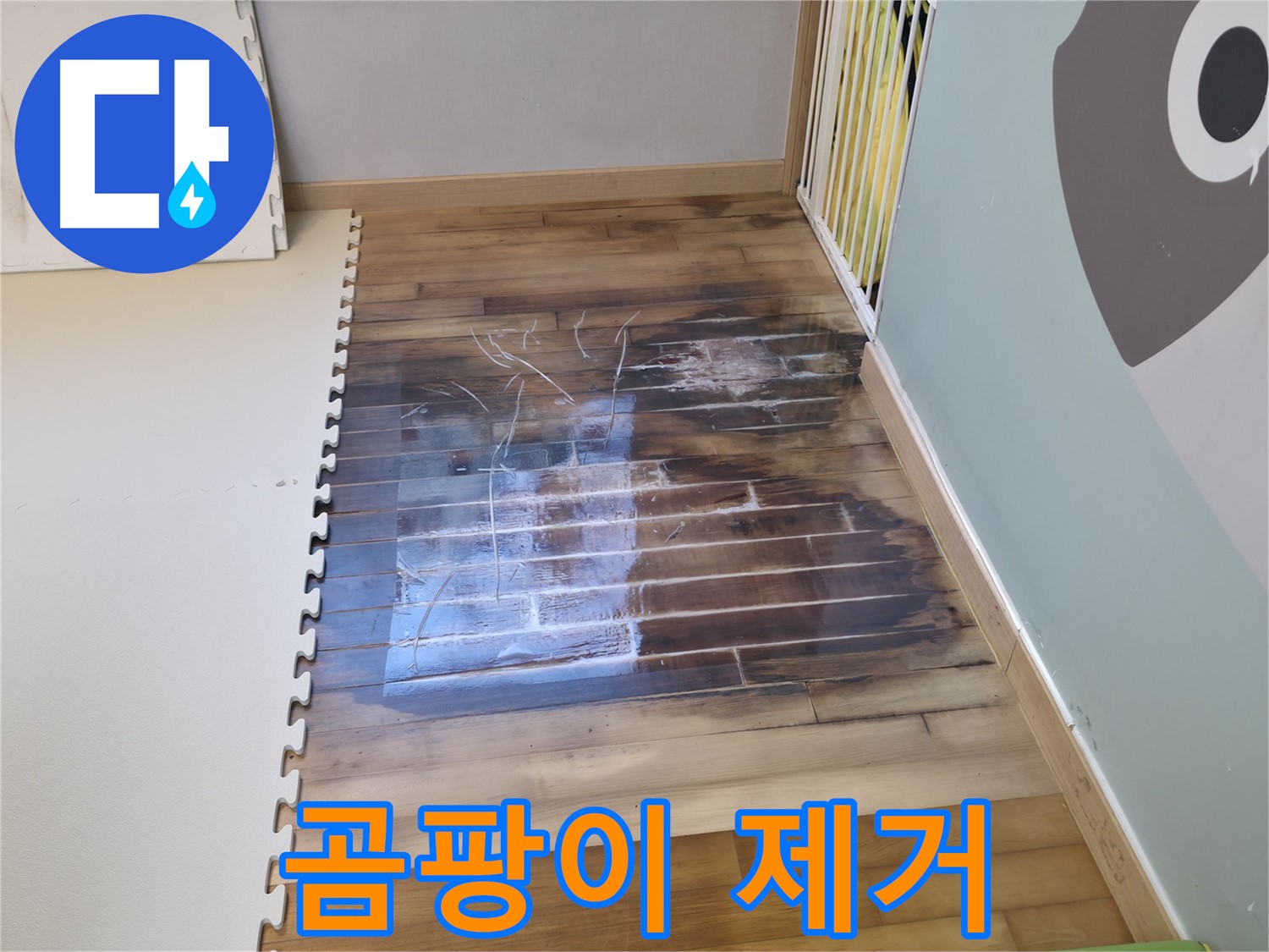 마루에 핀 곰팡이를 제거하는 모습 - 꼼꼼하게 제거하고 재발 방지 조치도 합니다.