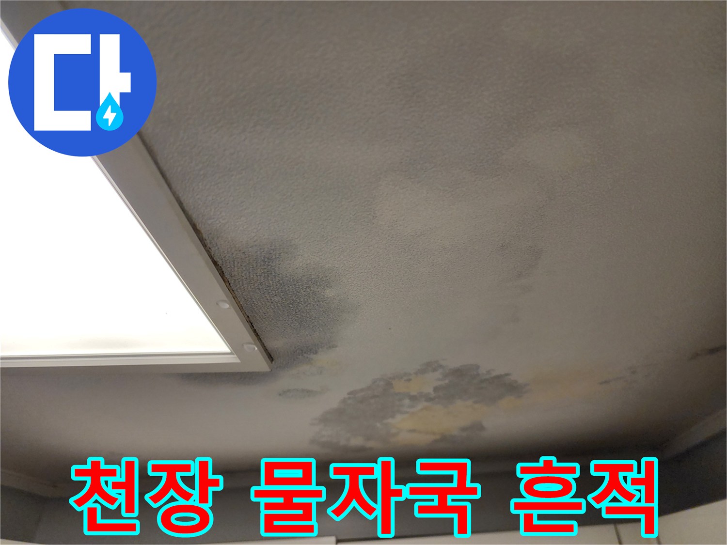 천장 벽지에 나타난 누수로 인한 불규칙한 얼룩