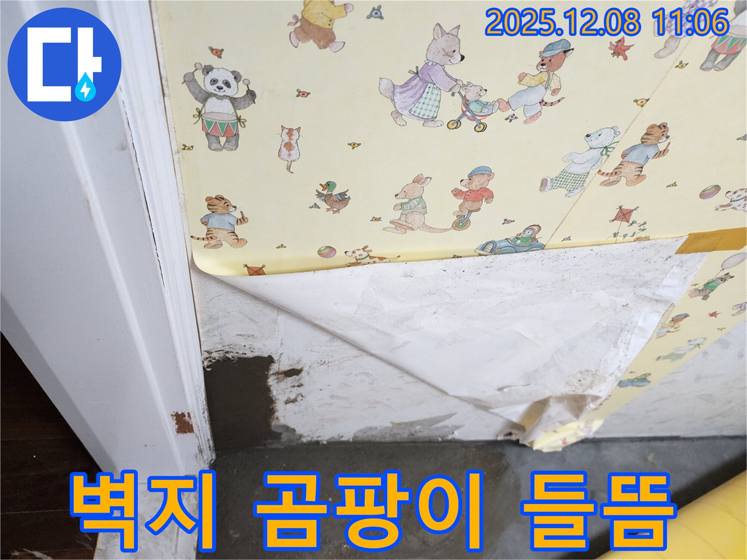 포천 영중면 누수 현장 - 벽지 속 곰팡이와 들뜬 벽지 문제 해결