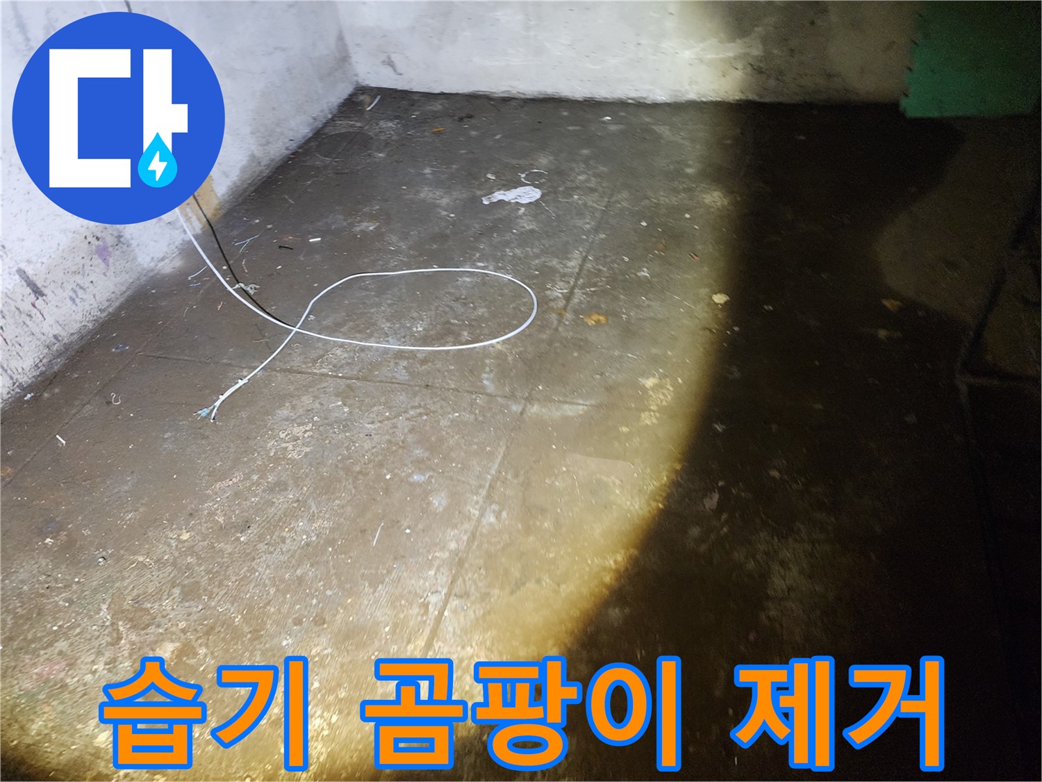 월계동 삼호아파트 지하 습기 - 곰팡이 OUT! 쾌적하고 건강한 공간으로!