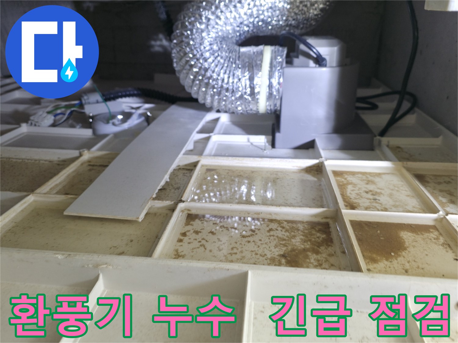 향남 아파트 환풍기를 타고 흐르는 누수 - 긴급 누수 점검 실시