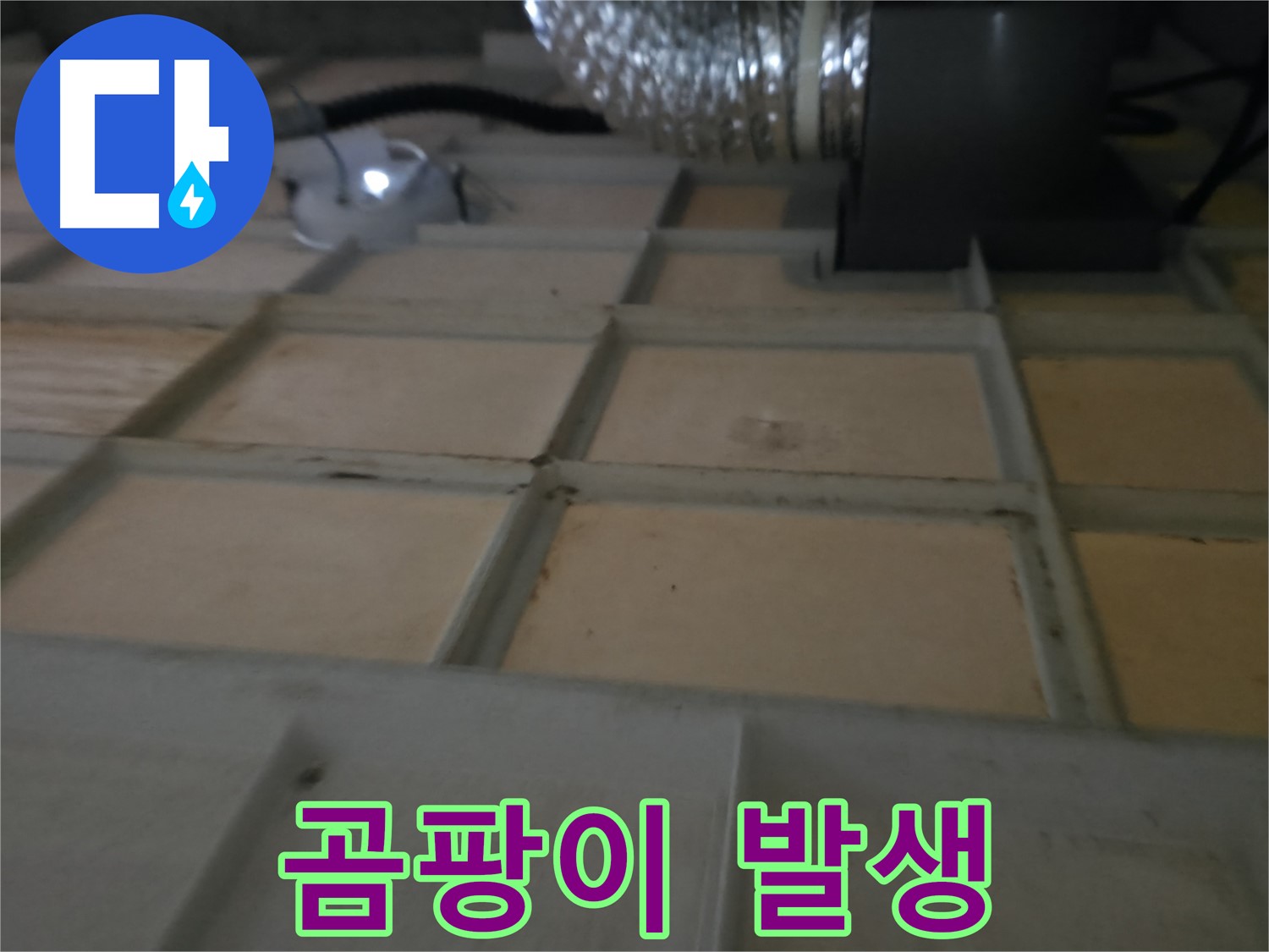 향남 에일린의뜰 천장 - 누수 부위 주변 곰팡이 발생 가능성에 유의하세요.