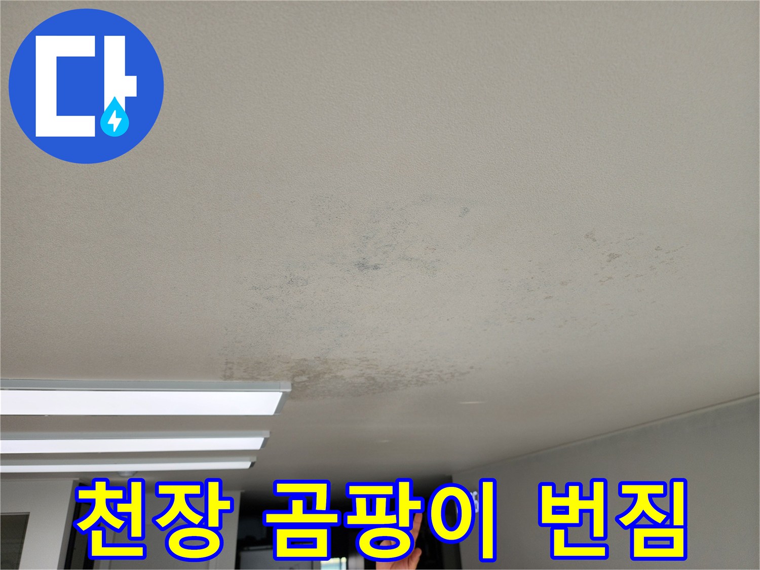 거실 천장 벽지 사이로 피어오른 곰팡이와 얼룩