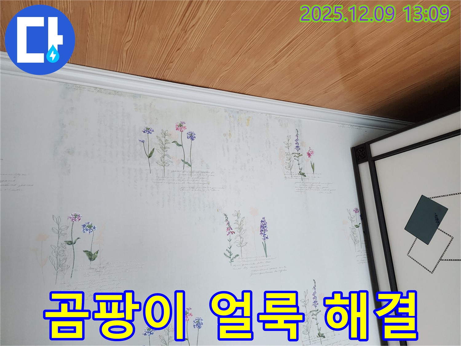 곰팡이와 얼룩으로 오염된 벽지 - 누수탐지로 쾌적한 공간으로 바꿔드립니다.